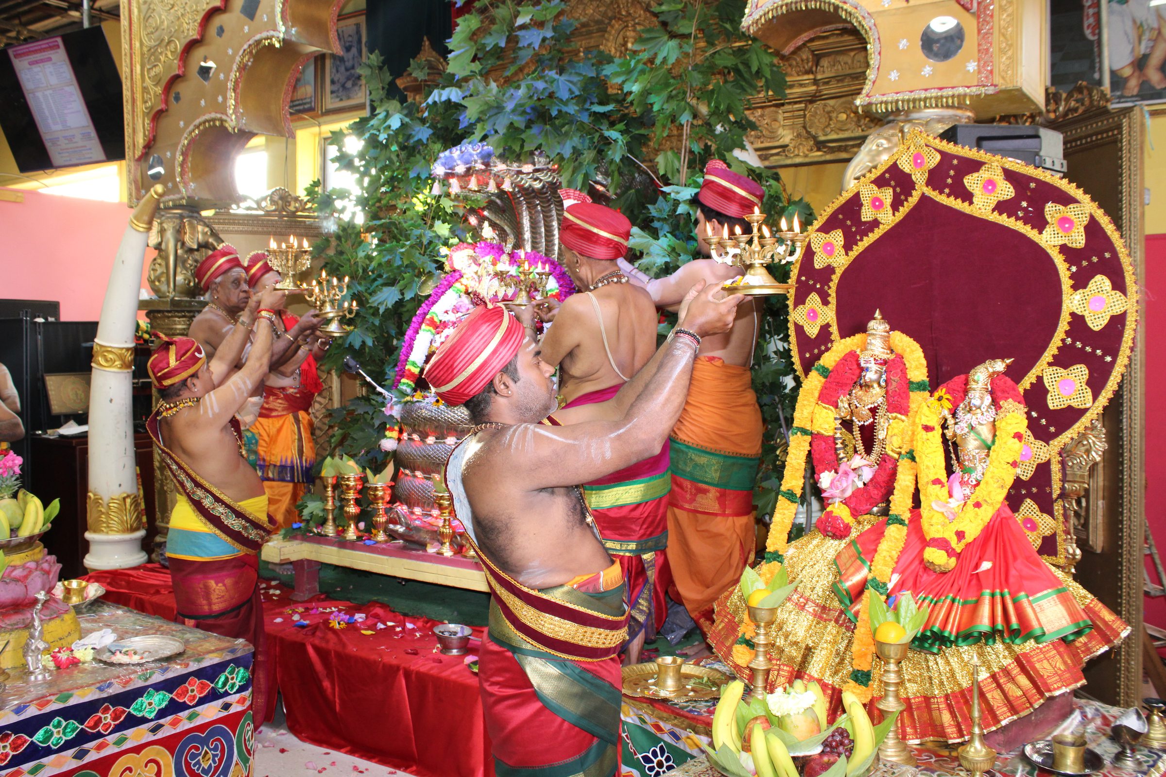 Festival 2024 photo