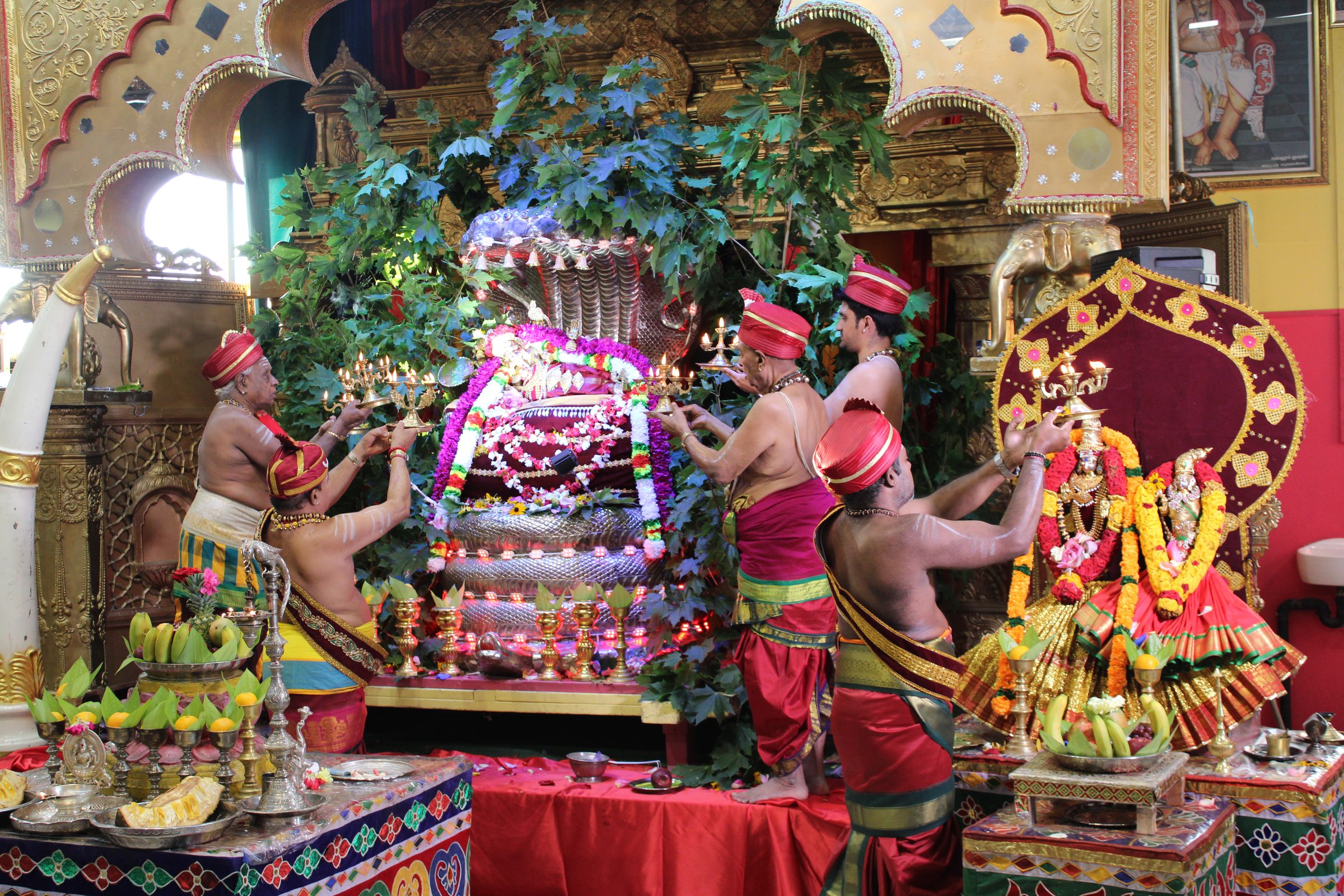 Festival 2024 photo