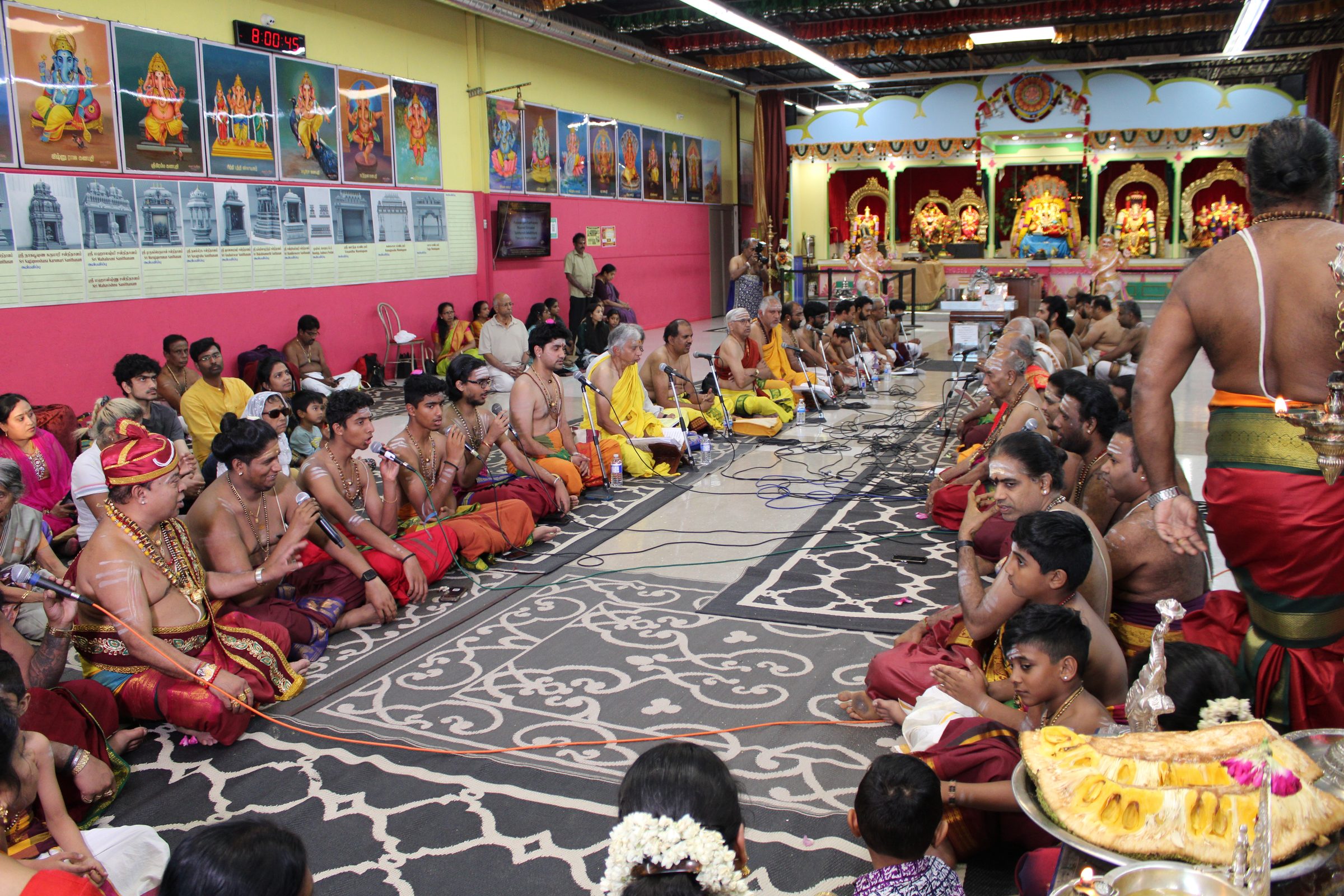Festival 2024 photo