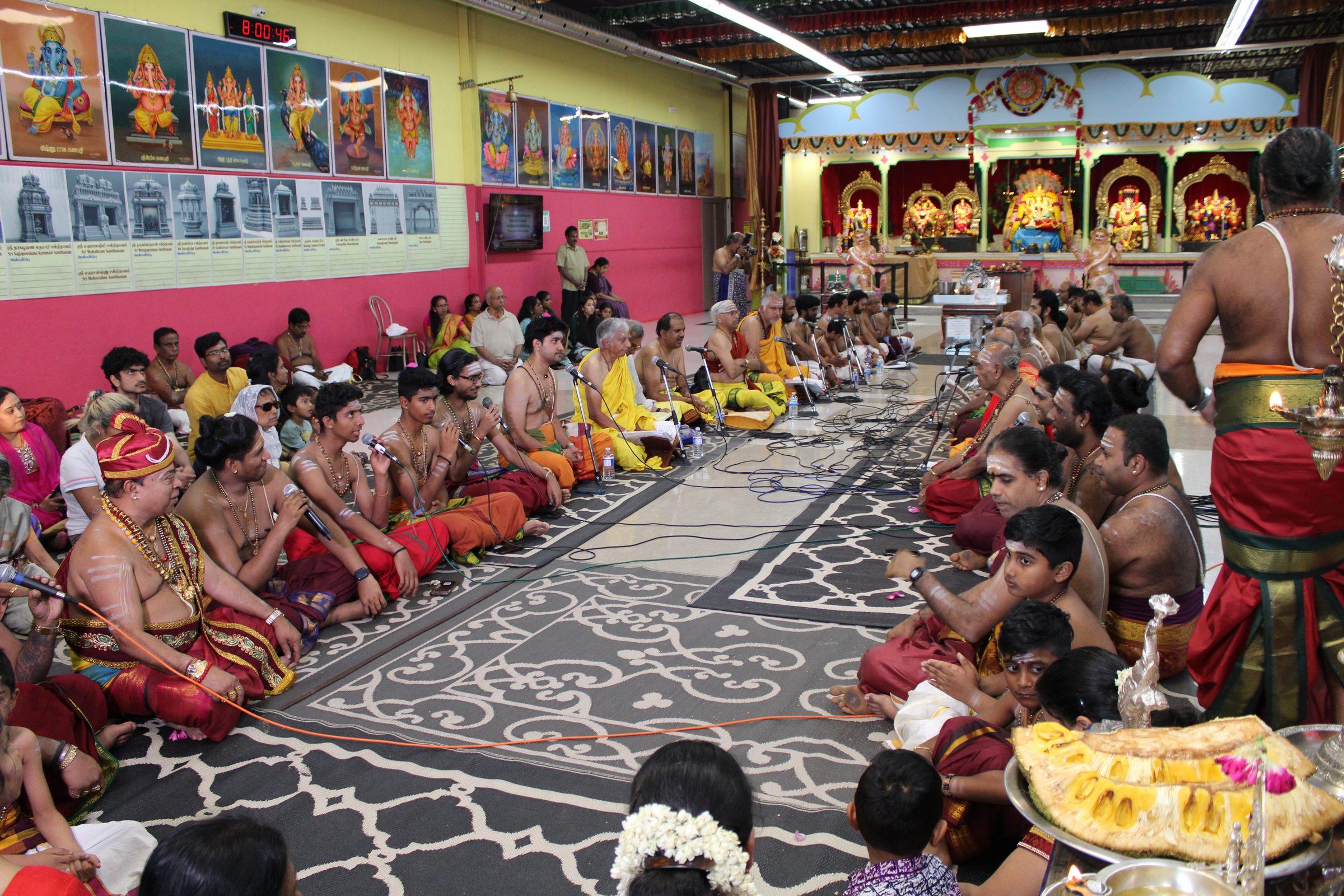 Festival 2024 photo