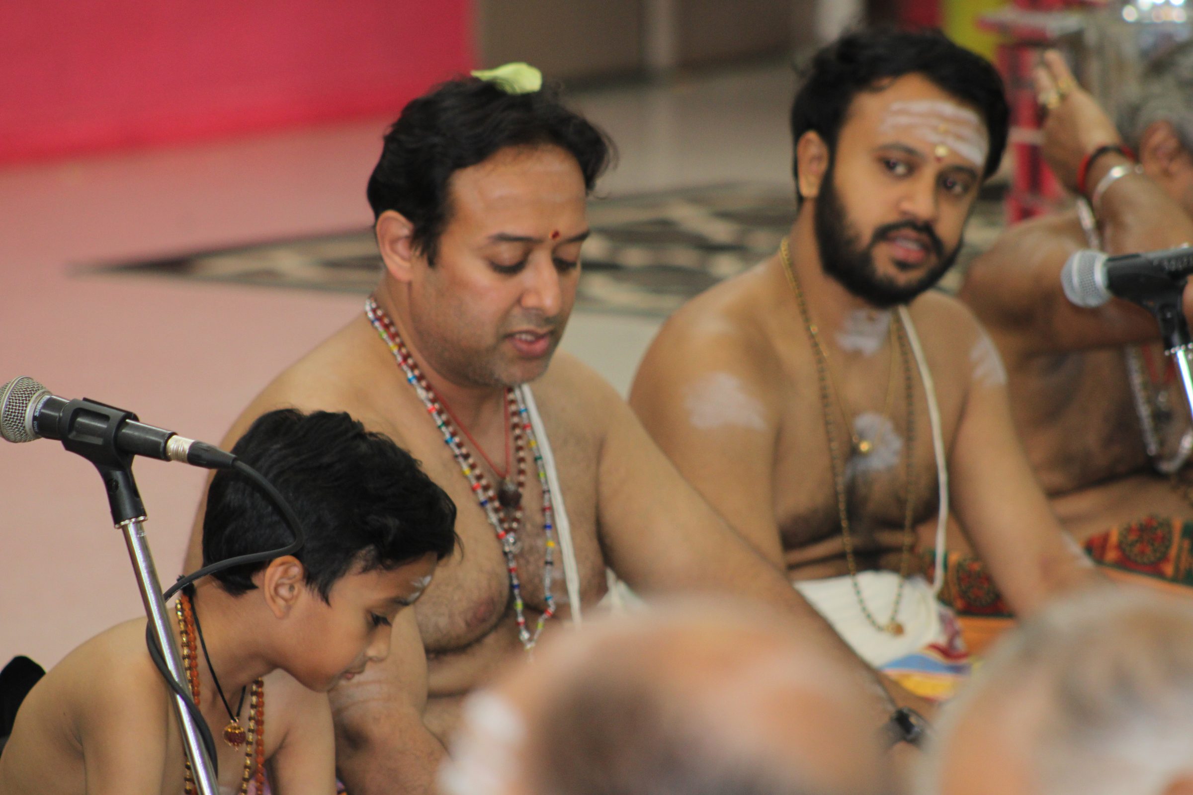 Festival 2024 photo