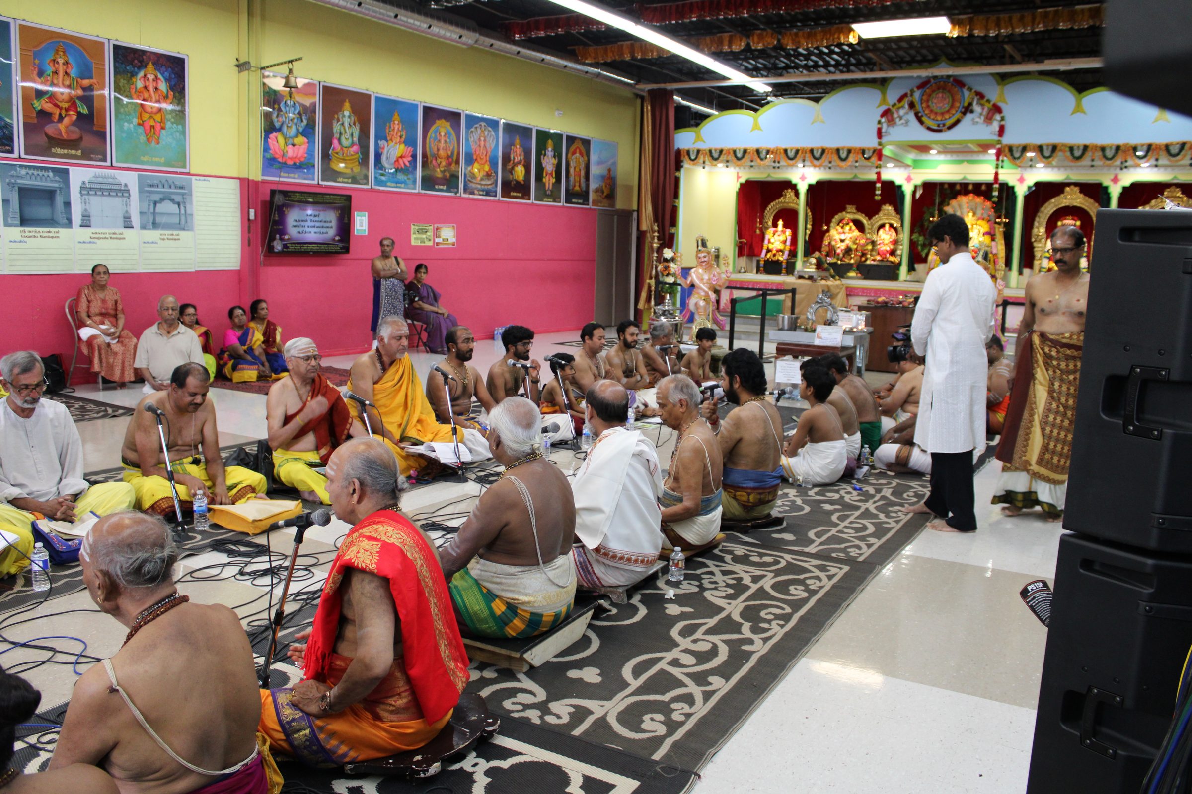 Festival 2024 photo