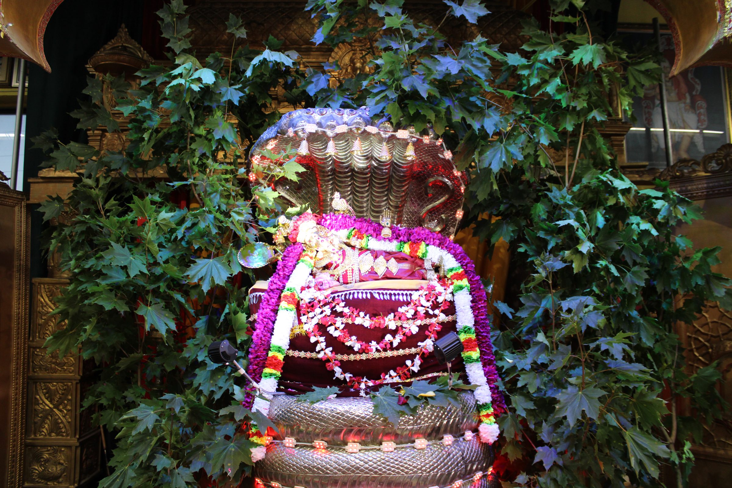 Festival 2024 photo