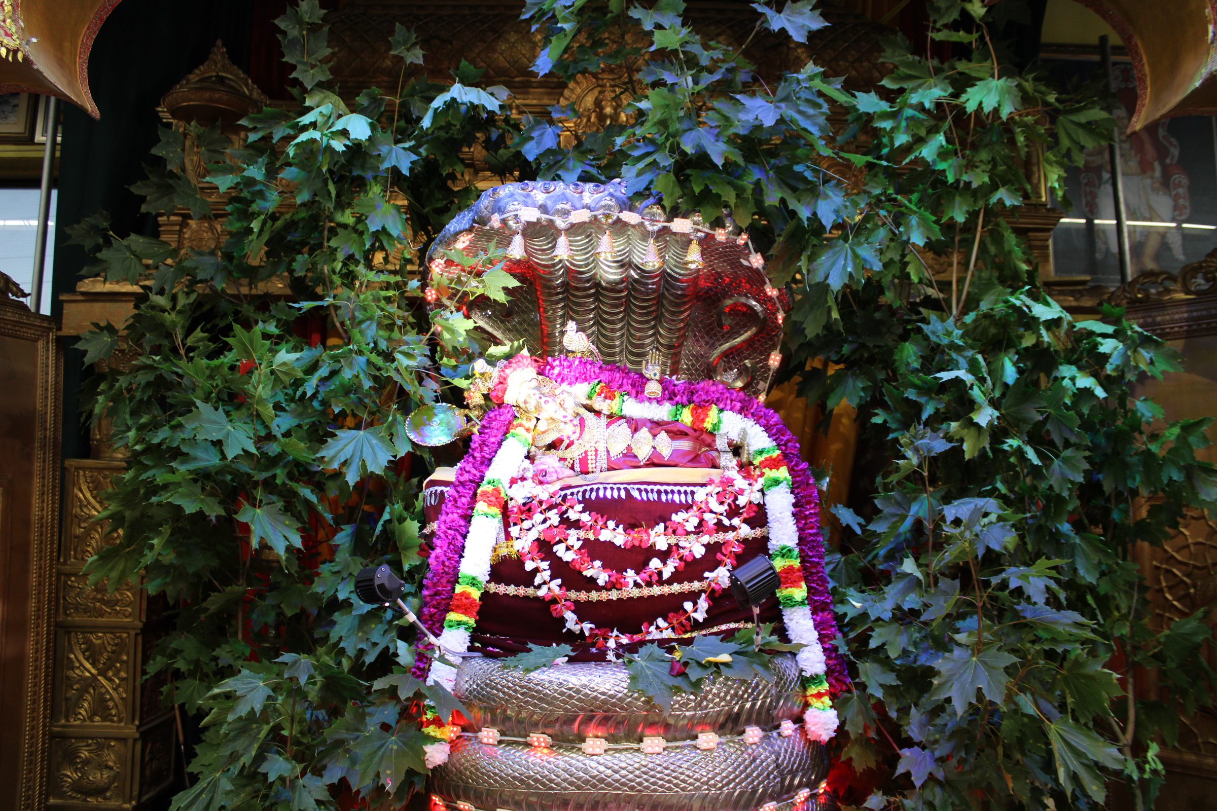 Festival 2024 photo