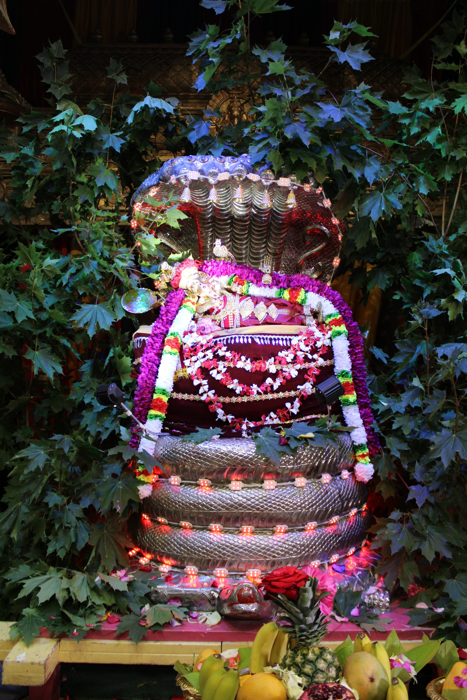 Festival 2024 photo