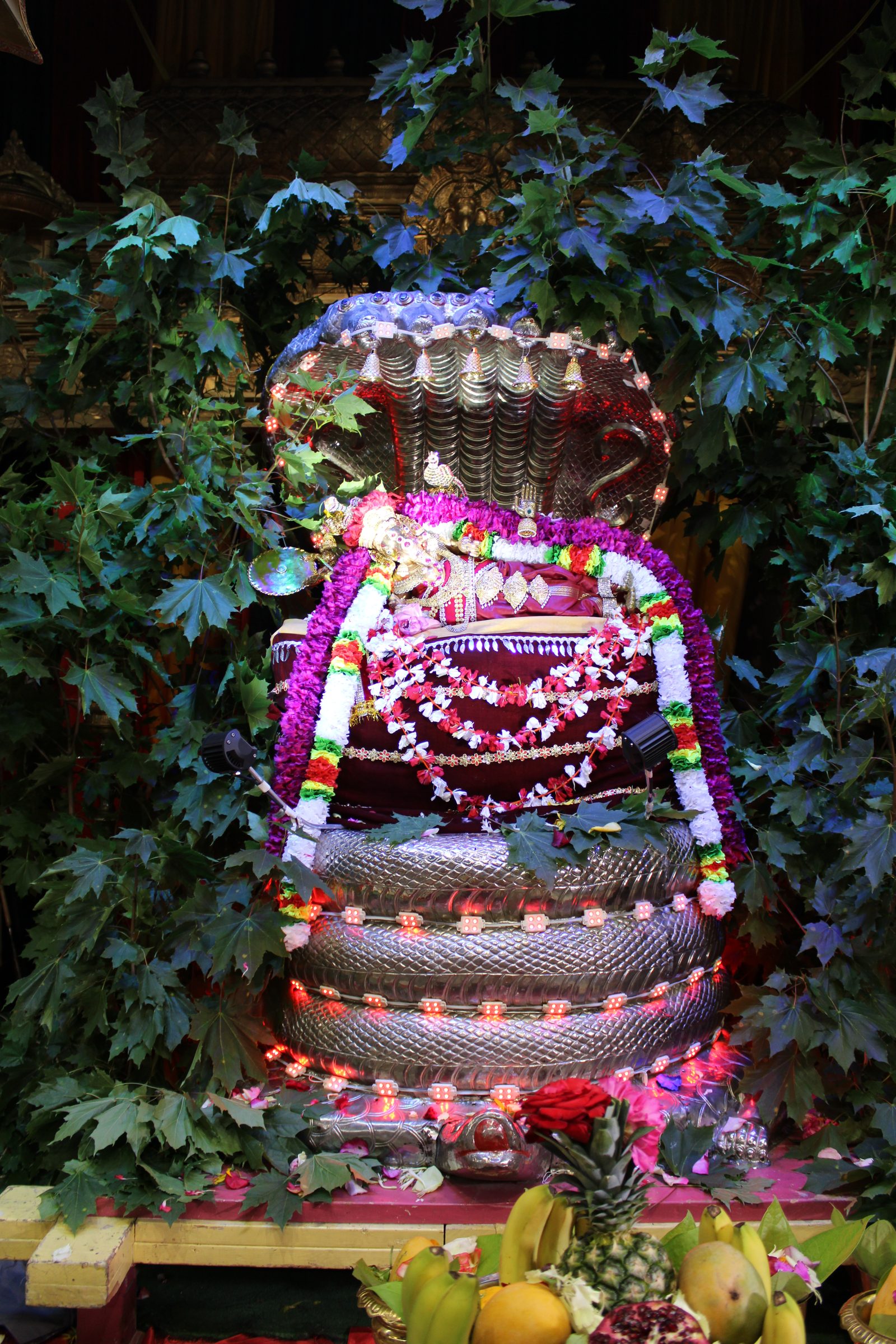 Festival 2024 photo