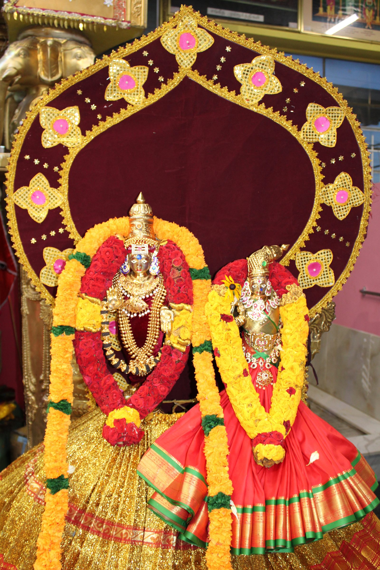 Festival 2024 photo