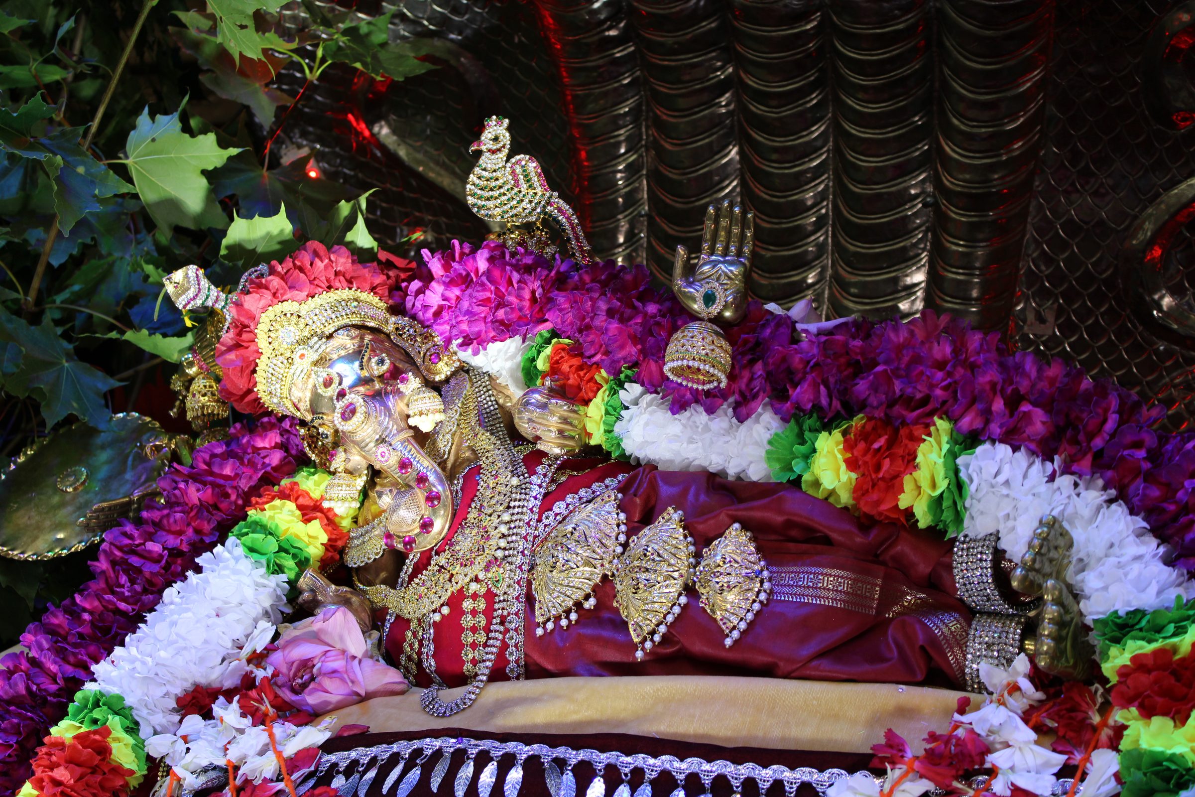 Festival 2024 photo