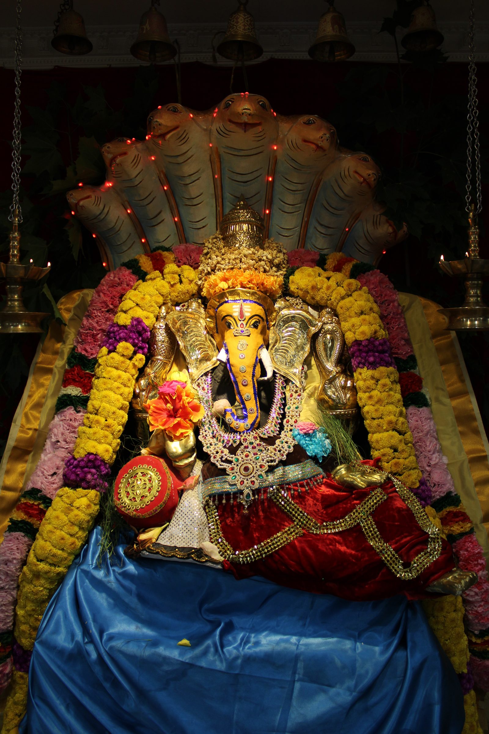Festival 2024 photo