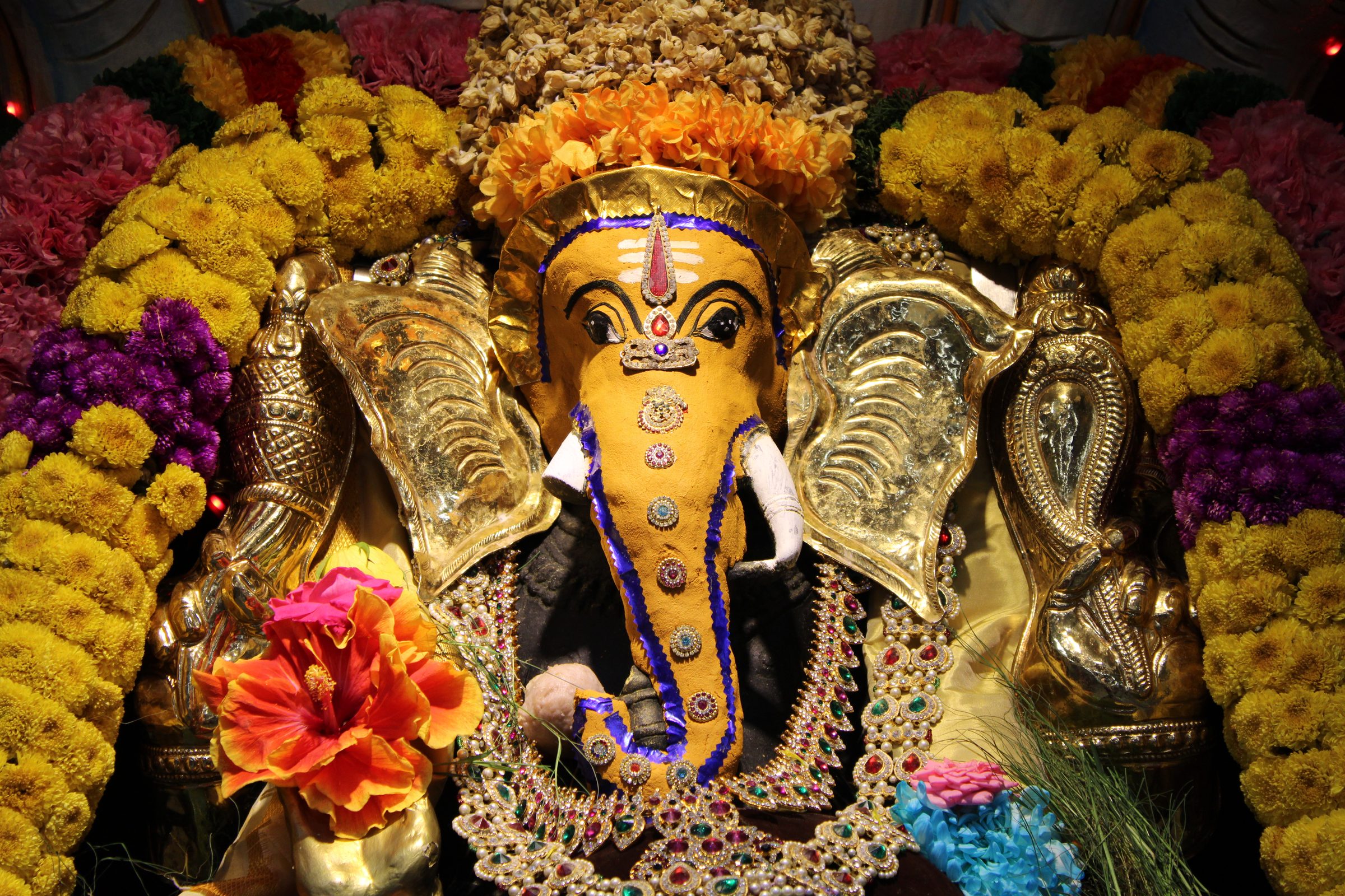 Festival 2024 photo