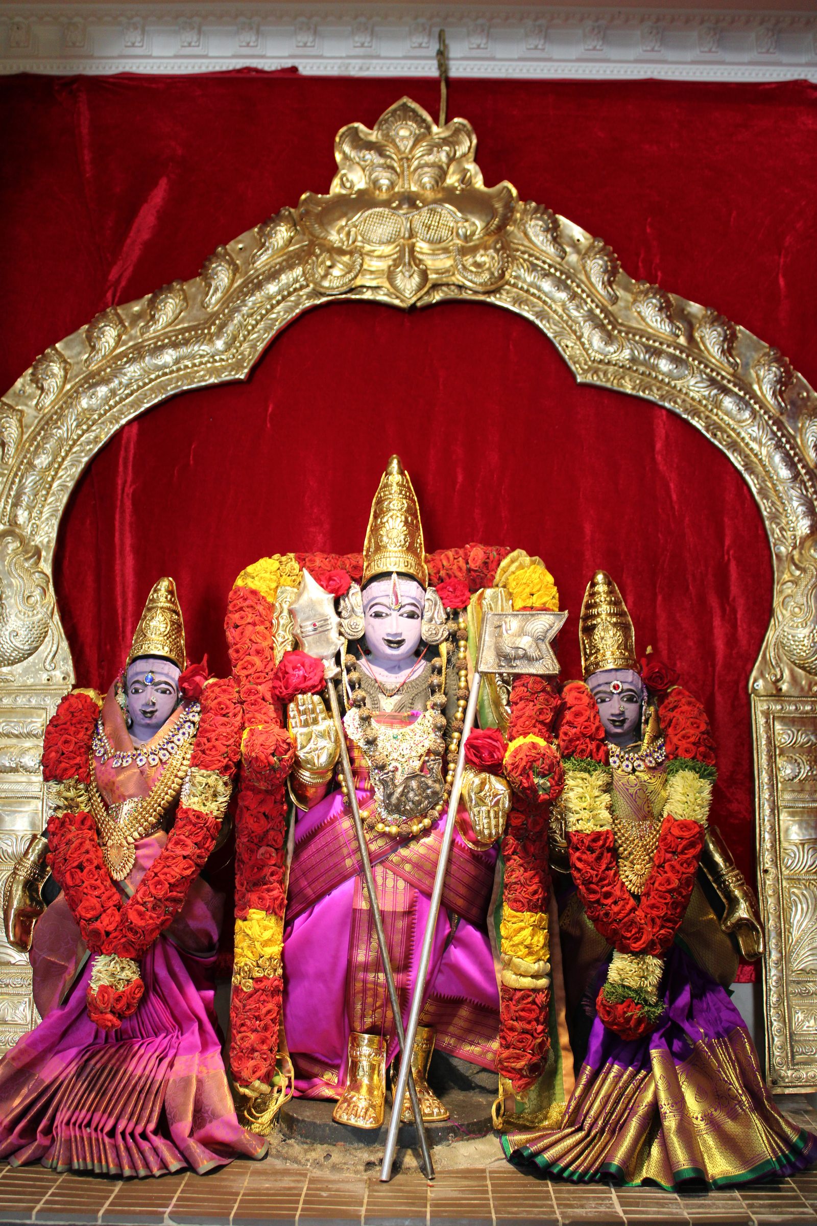 Festival 2024 photo