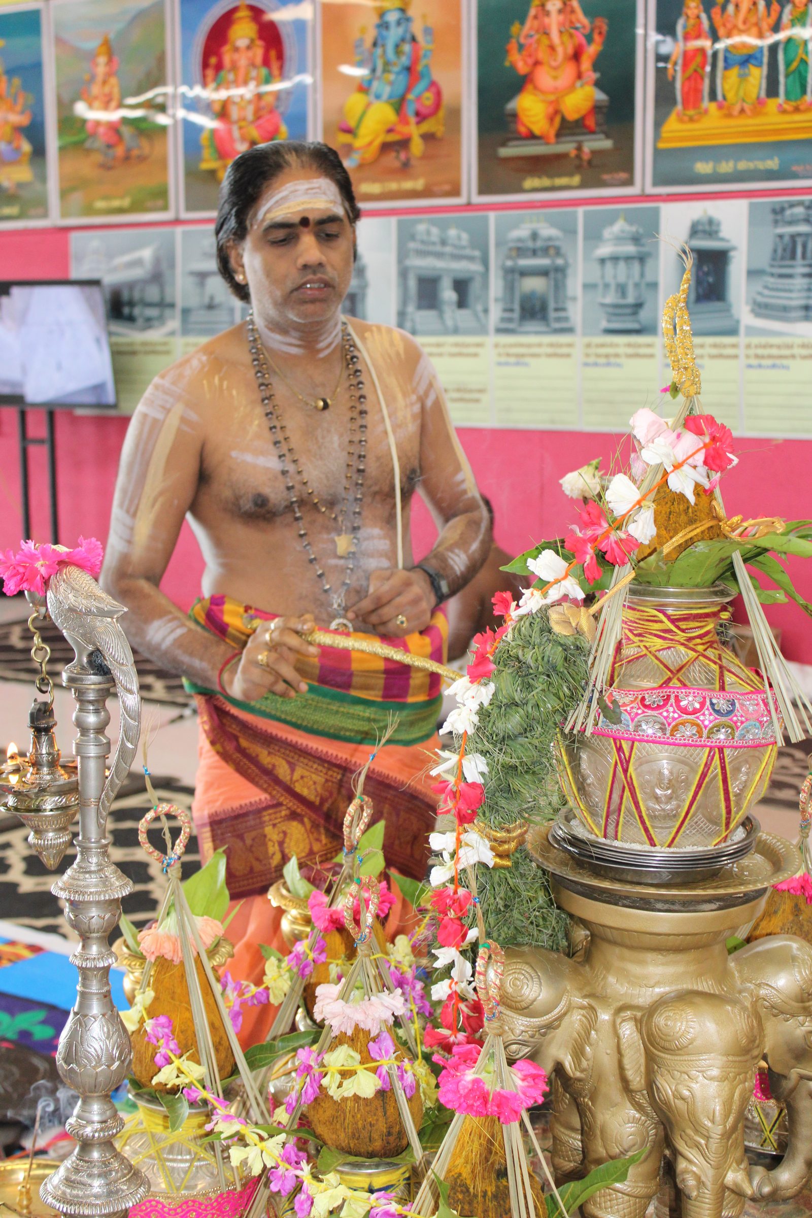 Festival 2024 photo