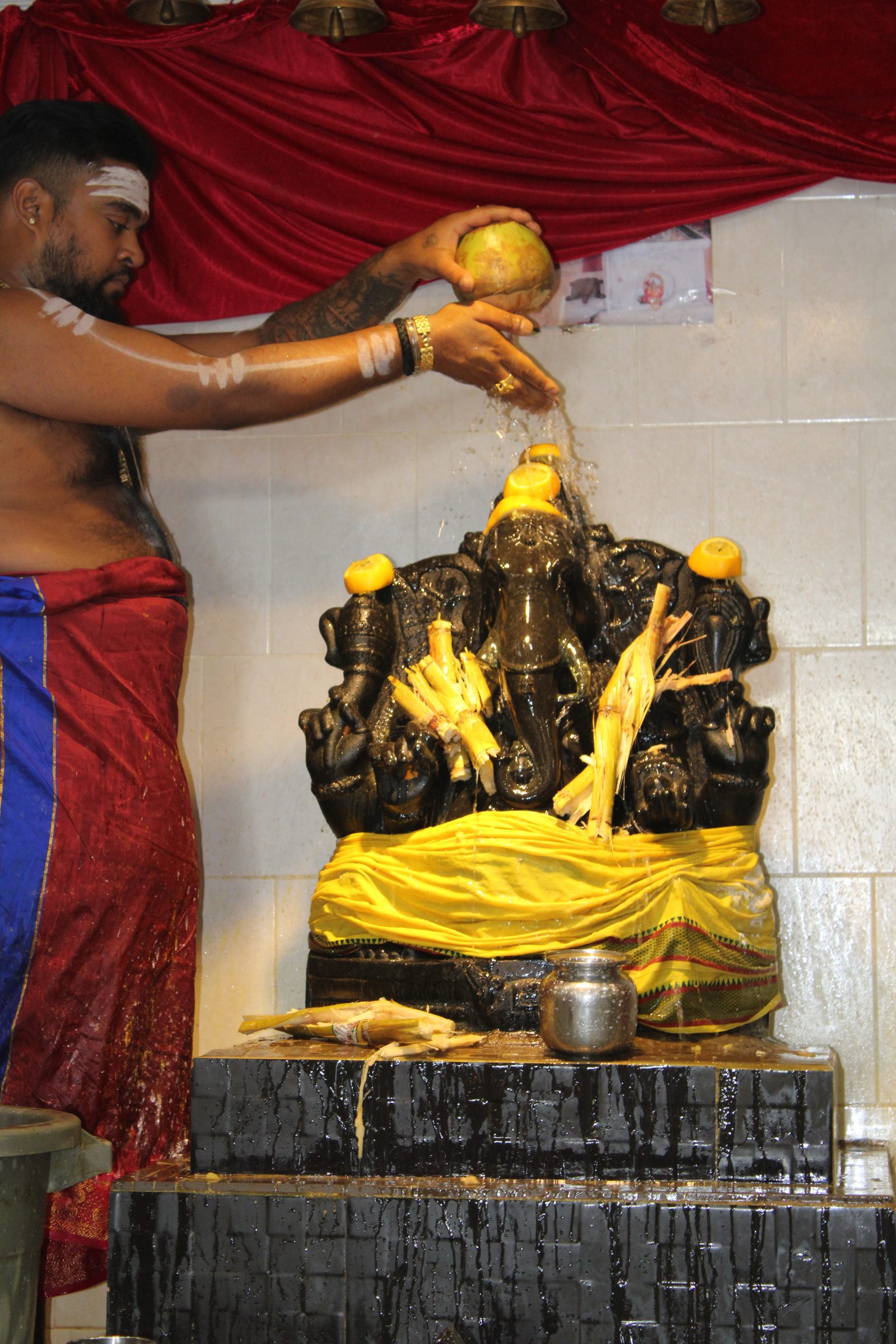 Festival 2024 photo