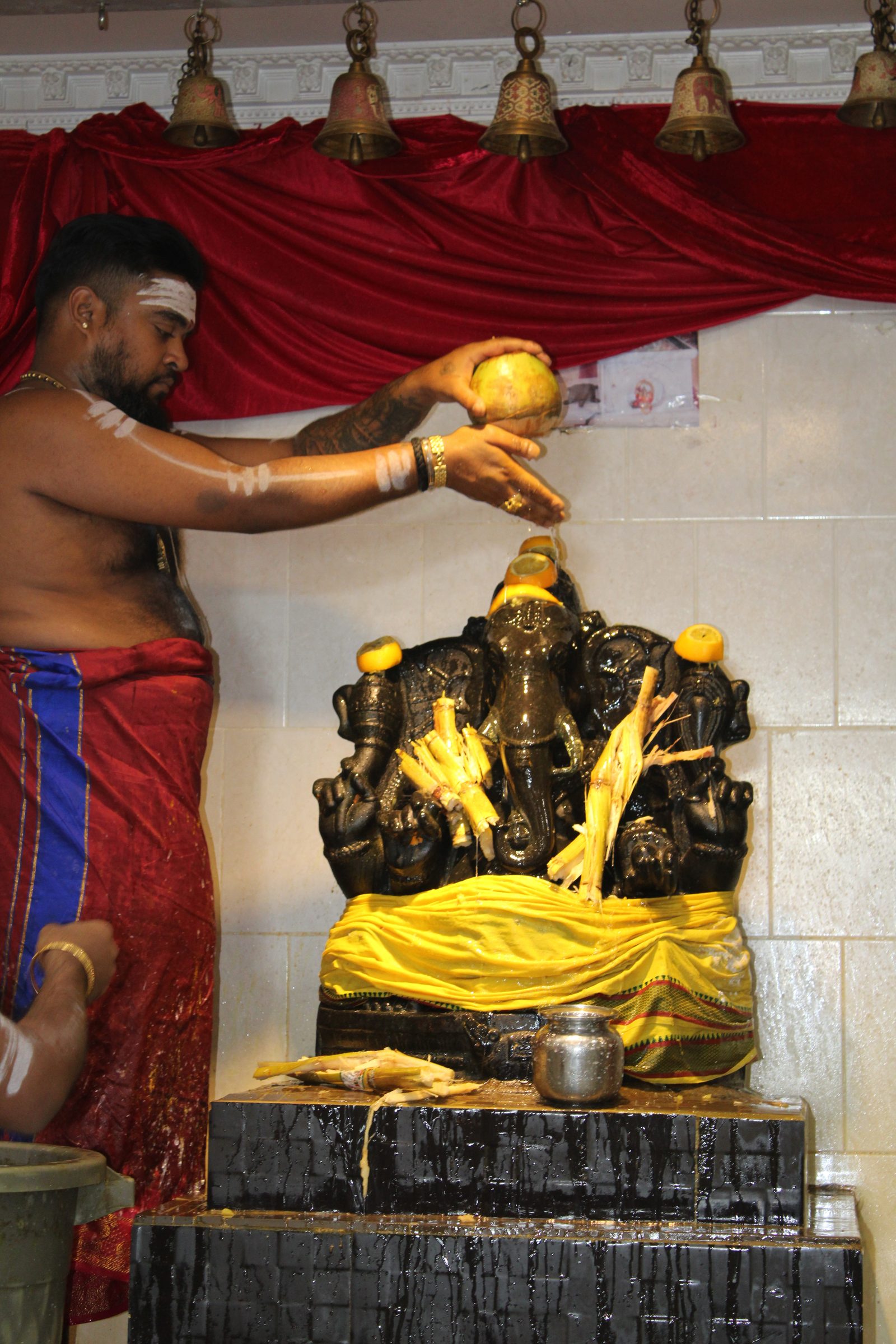 Festival 2024 photo