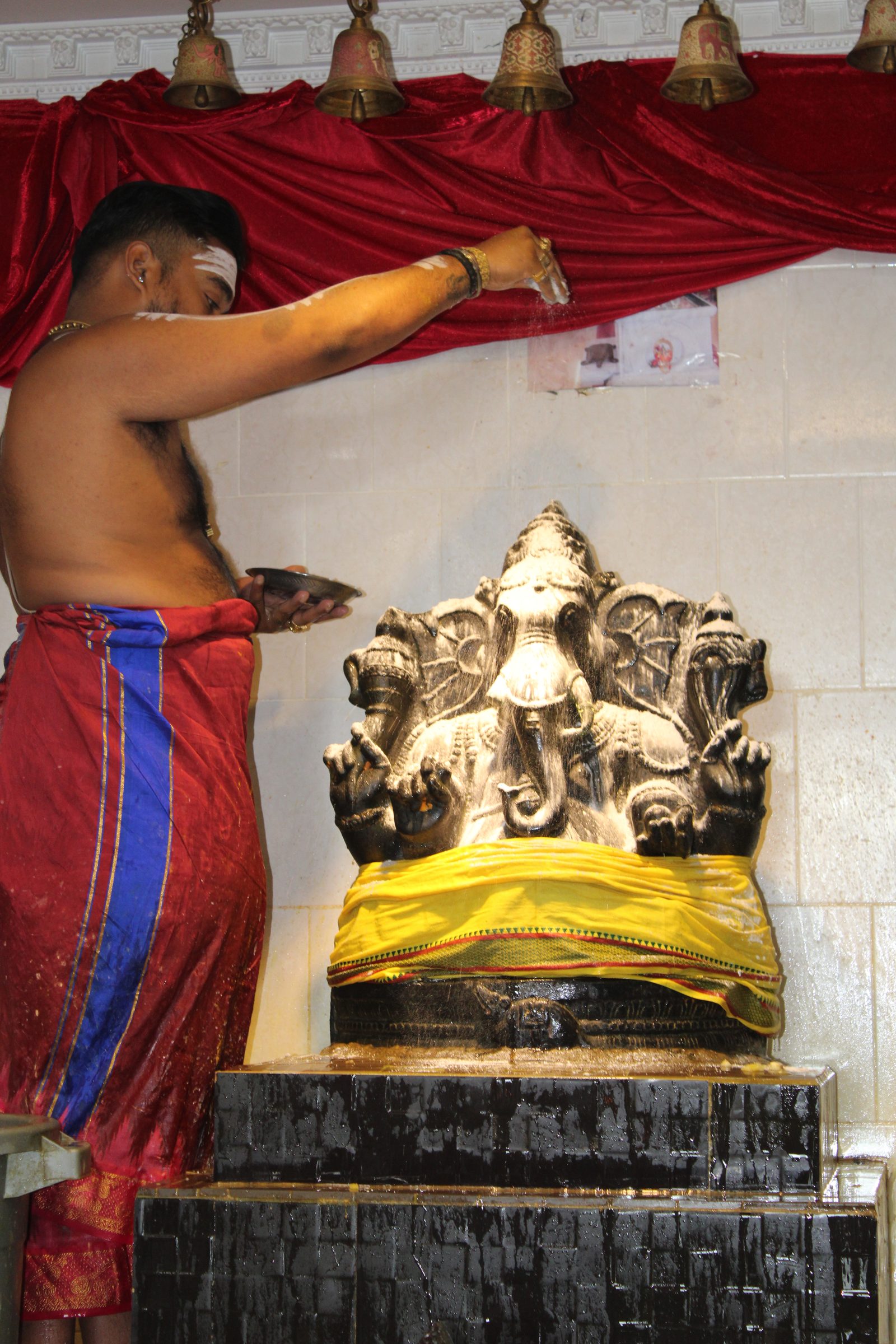 Festival 2024 photo