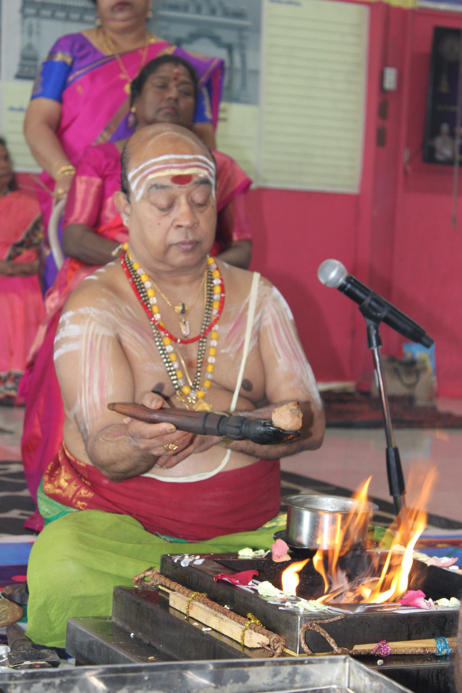 Festival 2024 photo