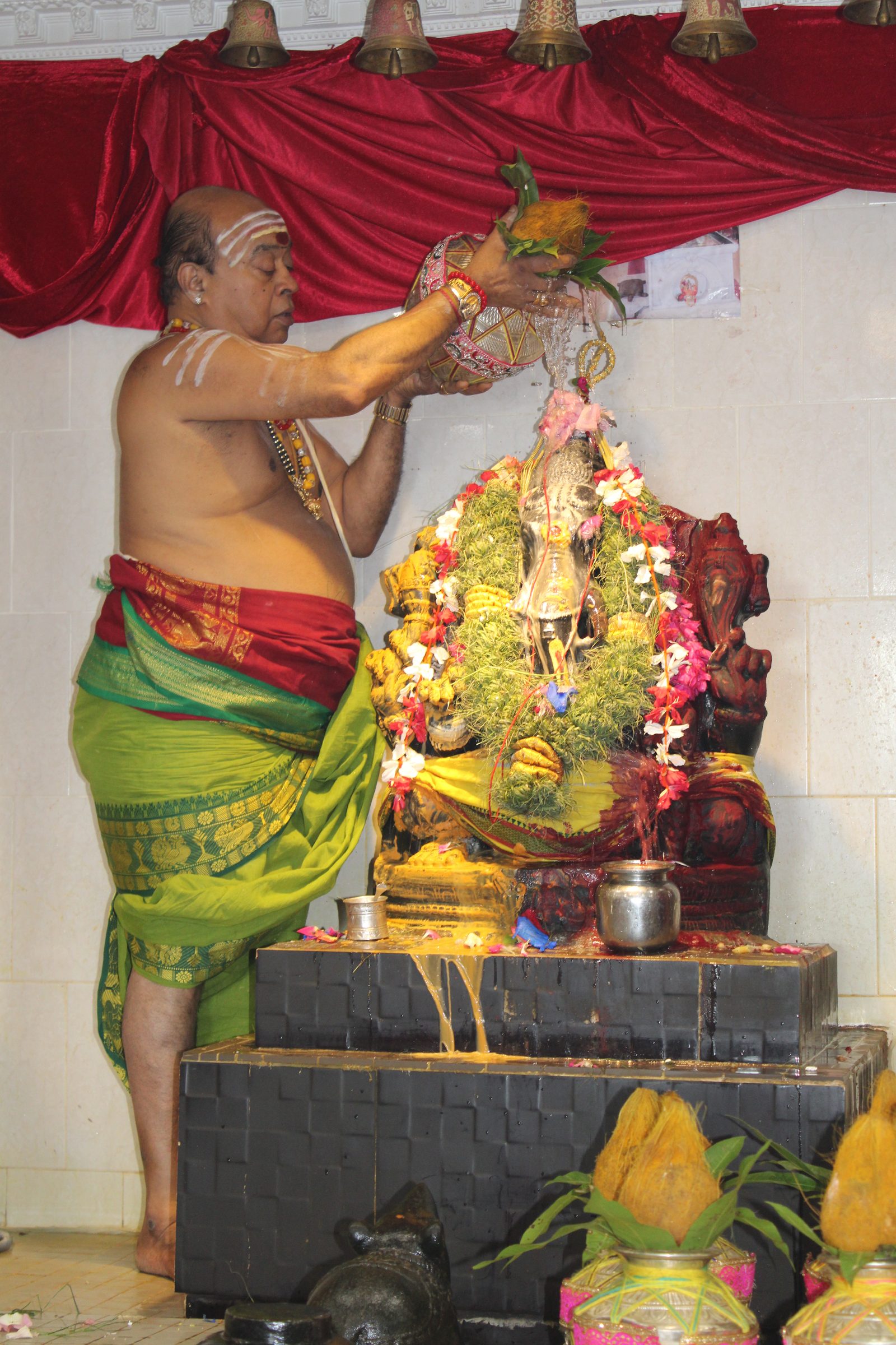 Festival 2024 photo