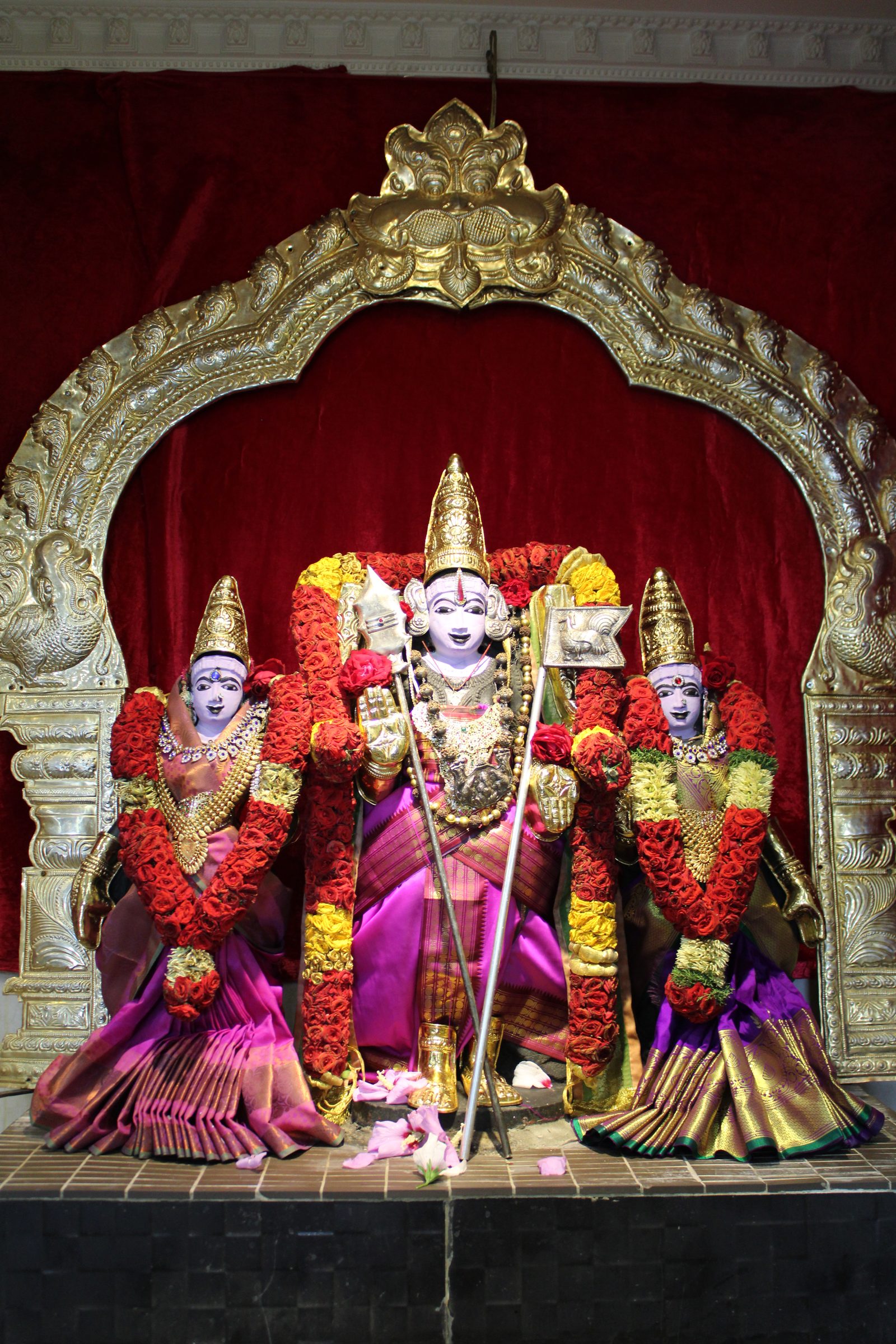 Festival 2024 photo