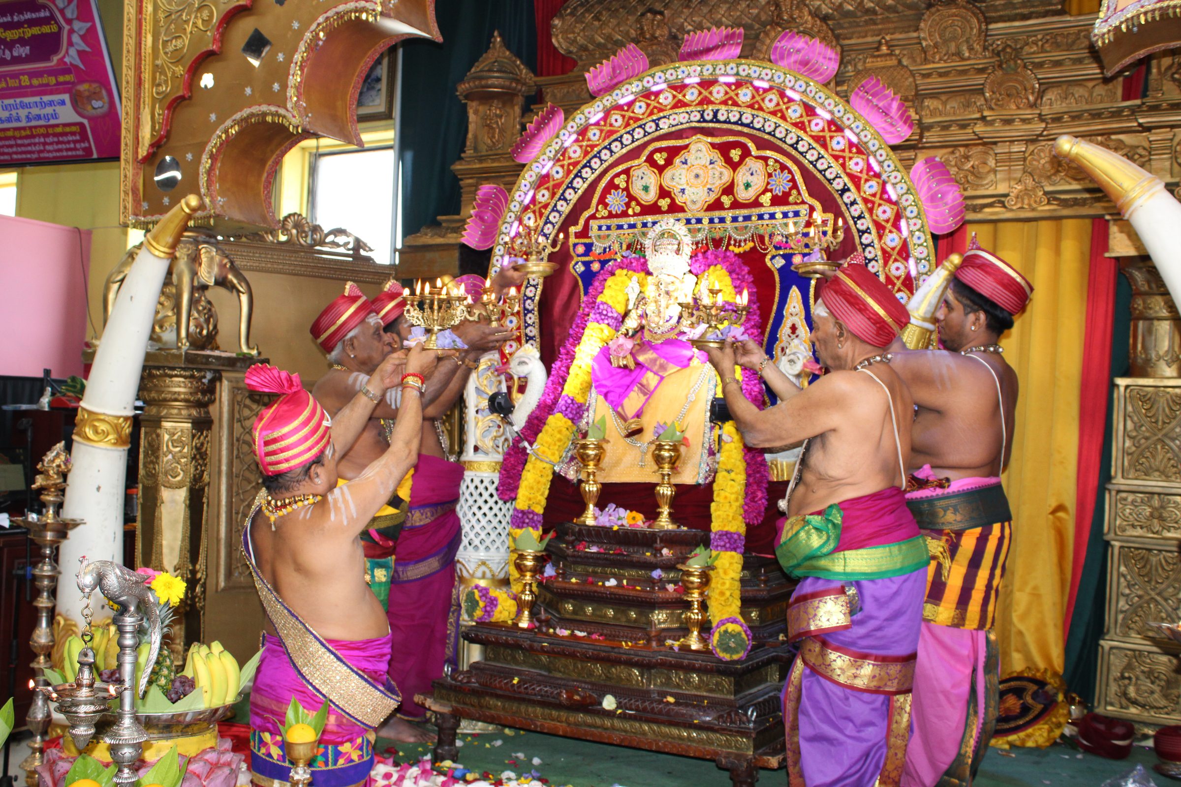 Festival 2024 photo