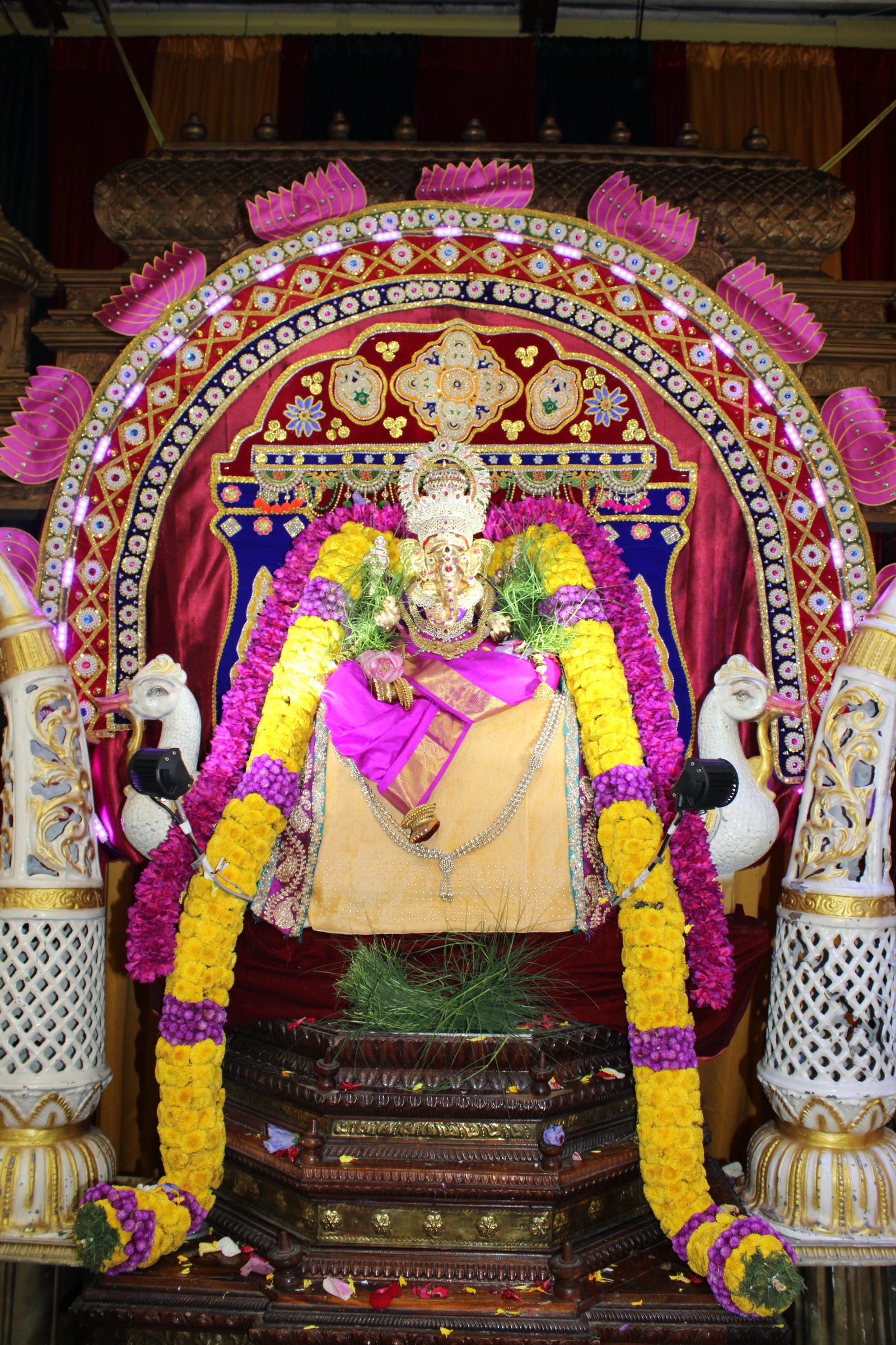 Festival 2024 photo