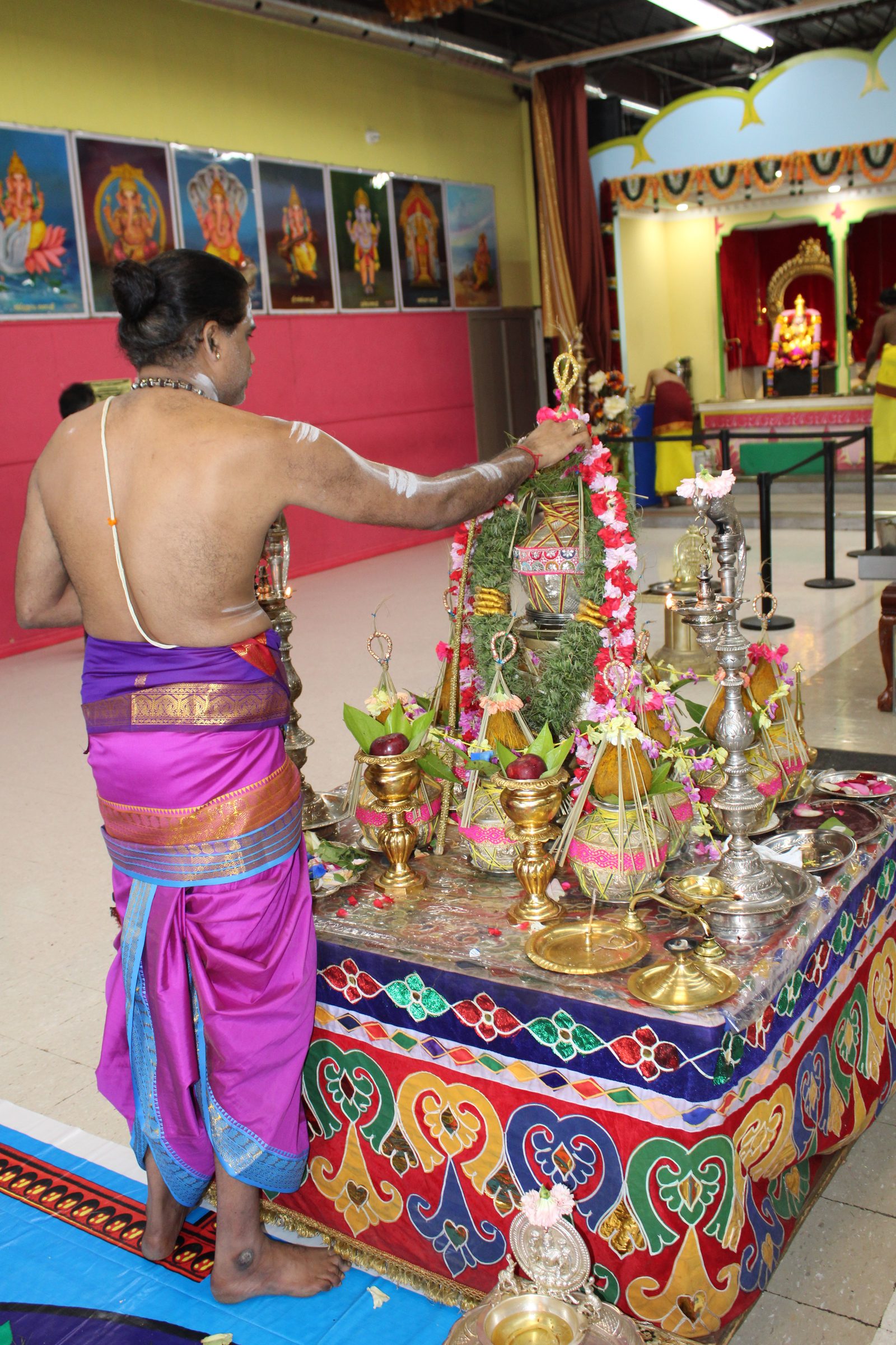 Festival 2024 photo