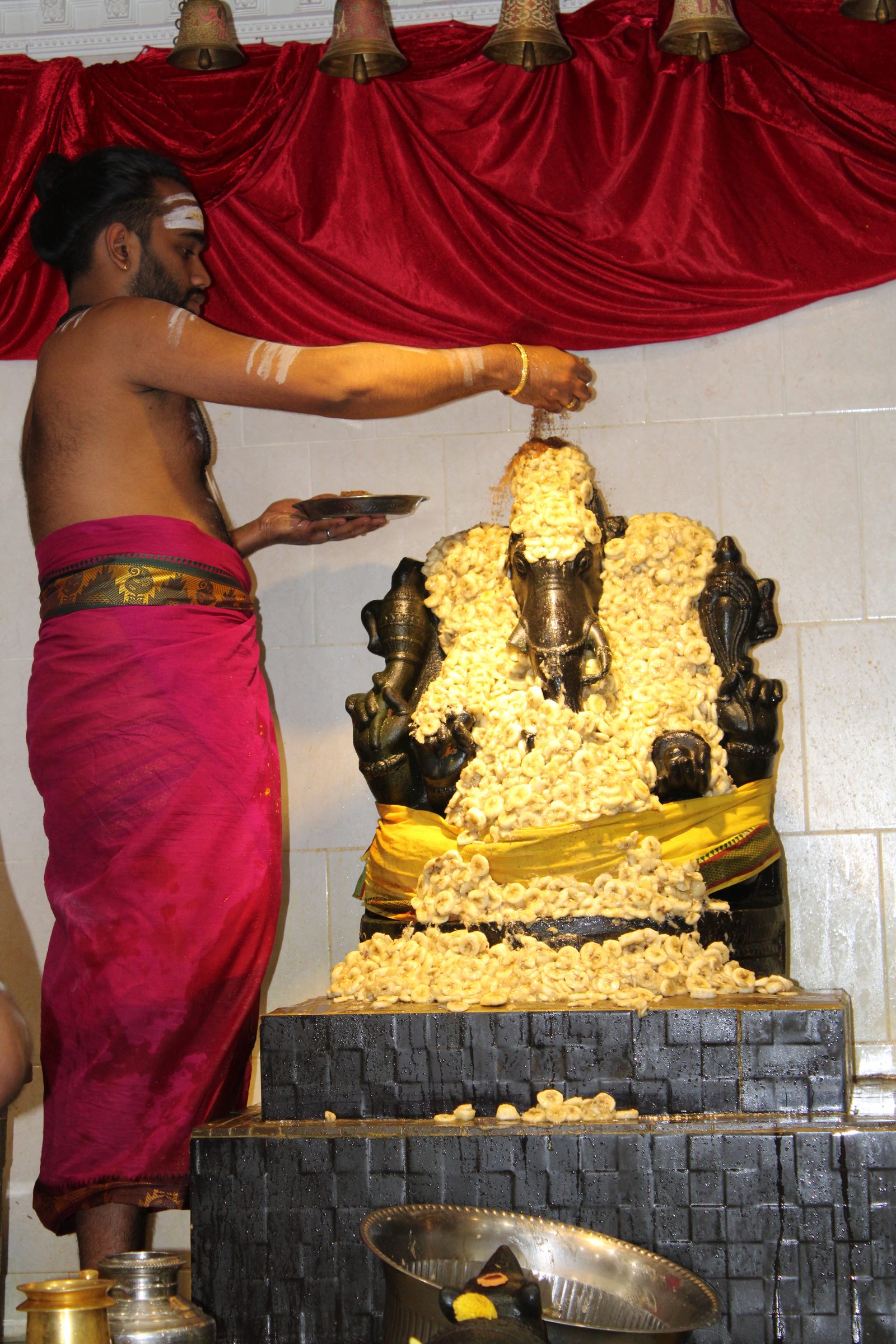 Festival 2024 photo