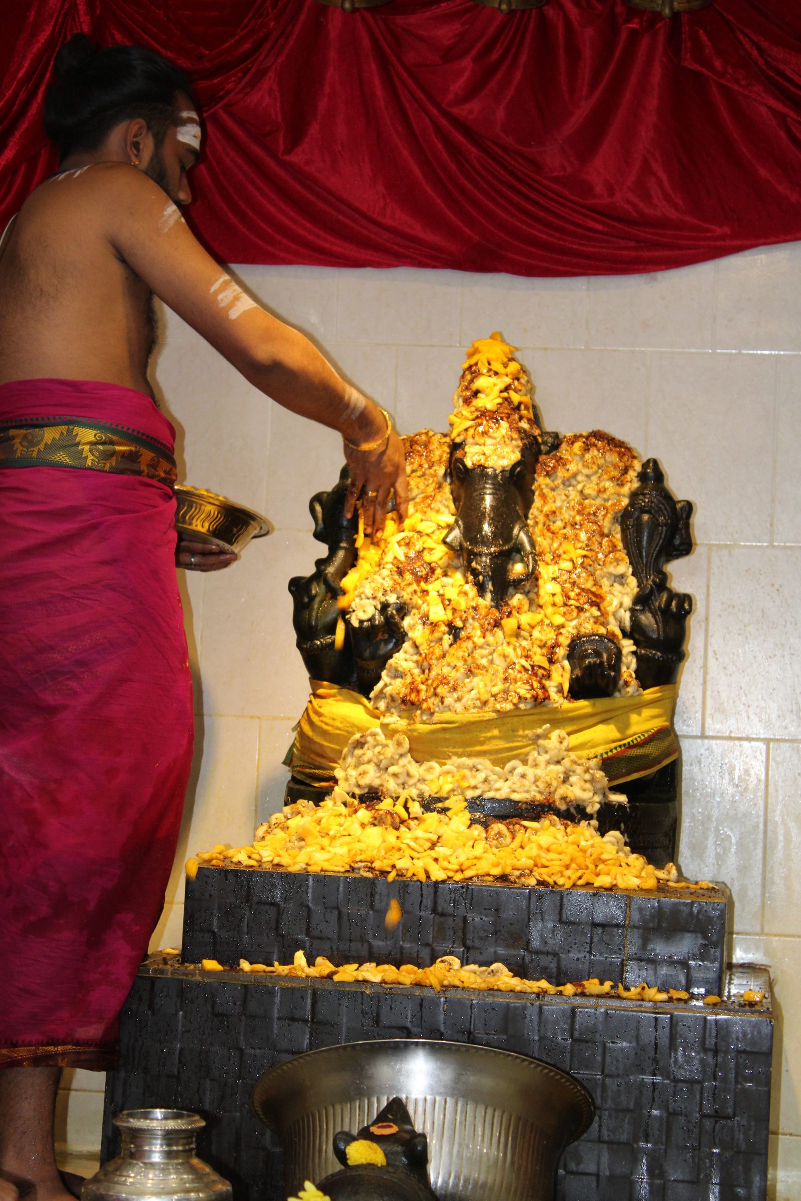 Festival 2024 photo