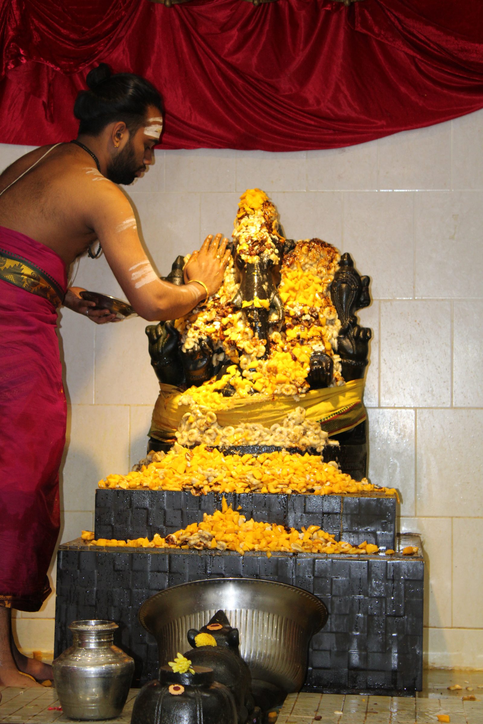 Festival 2024 photo