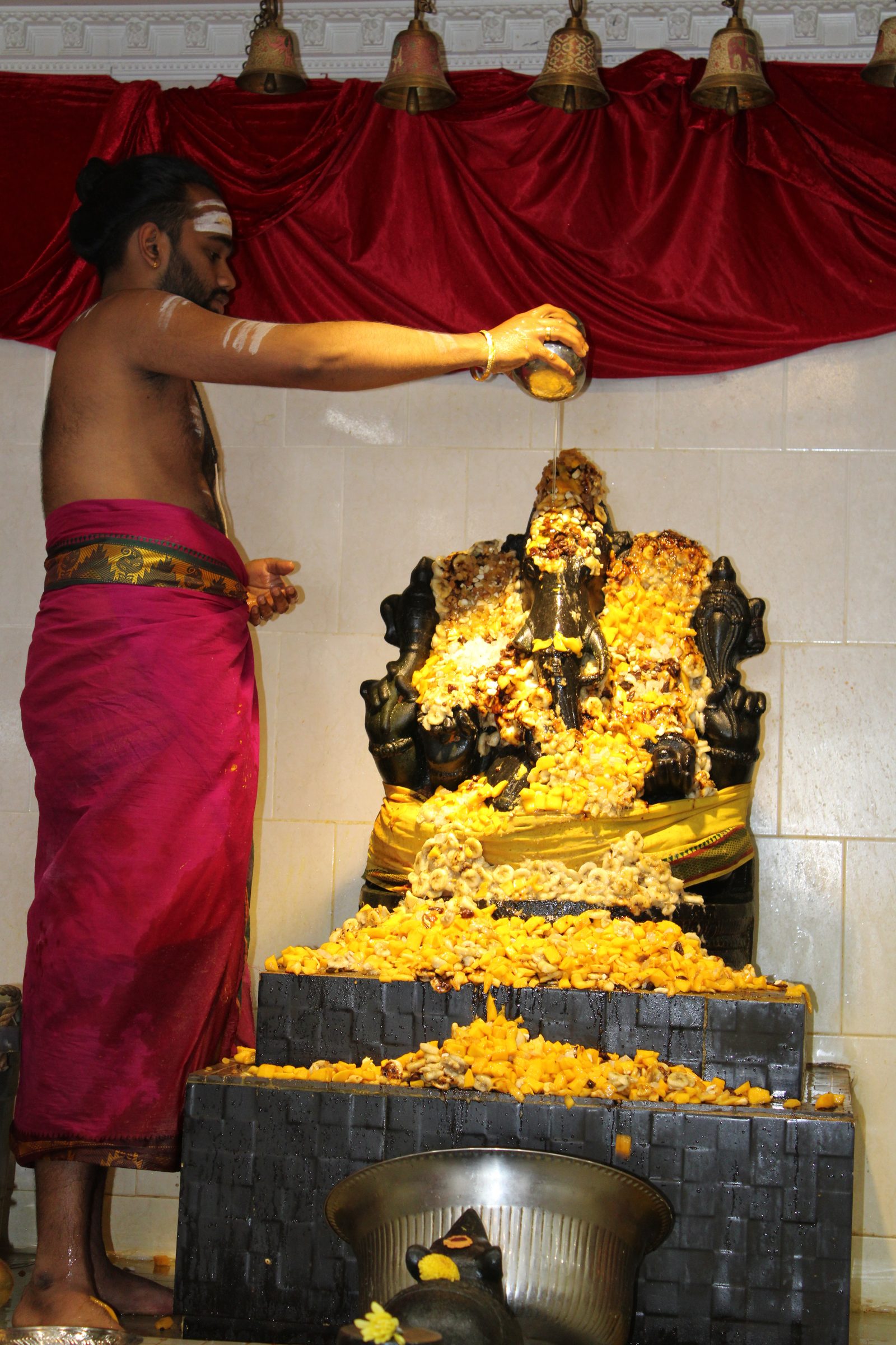 Festival 2024 photo