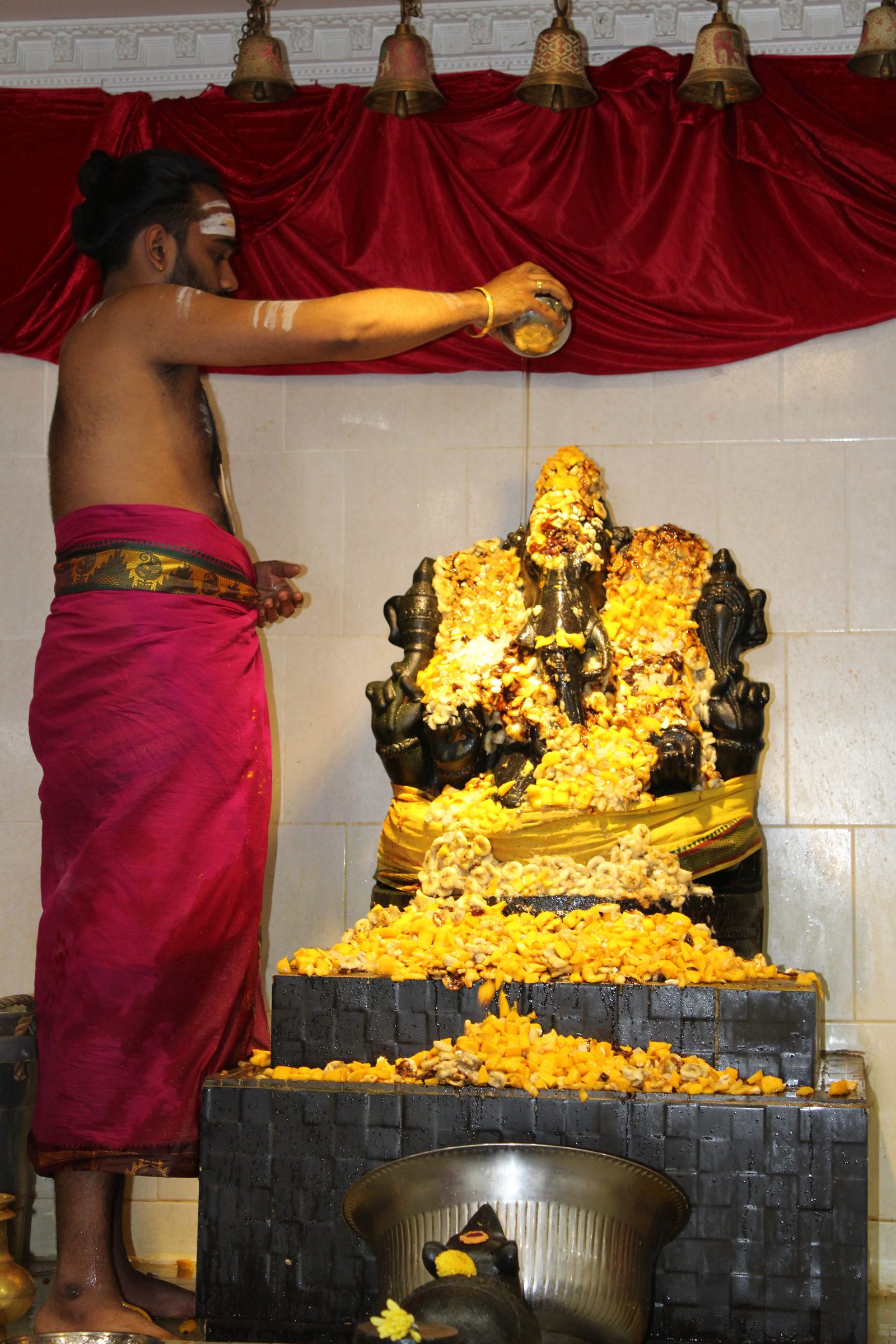 Festival 2024 photo
