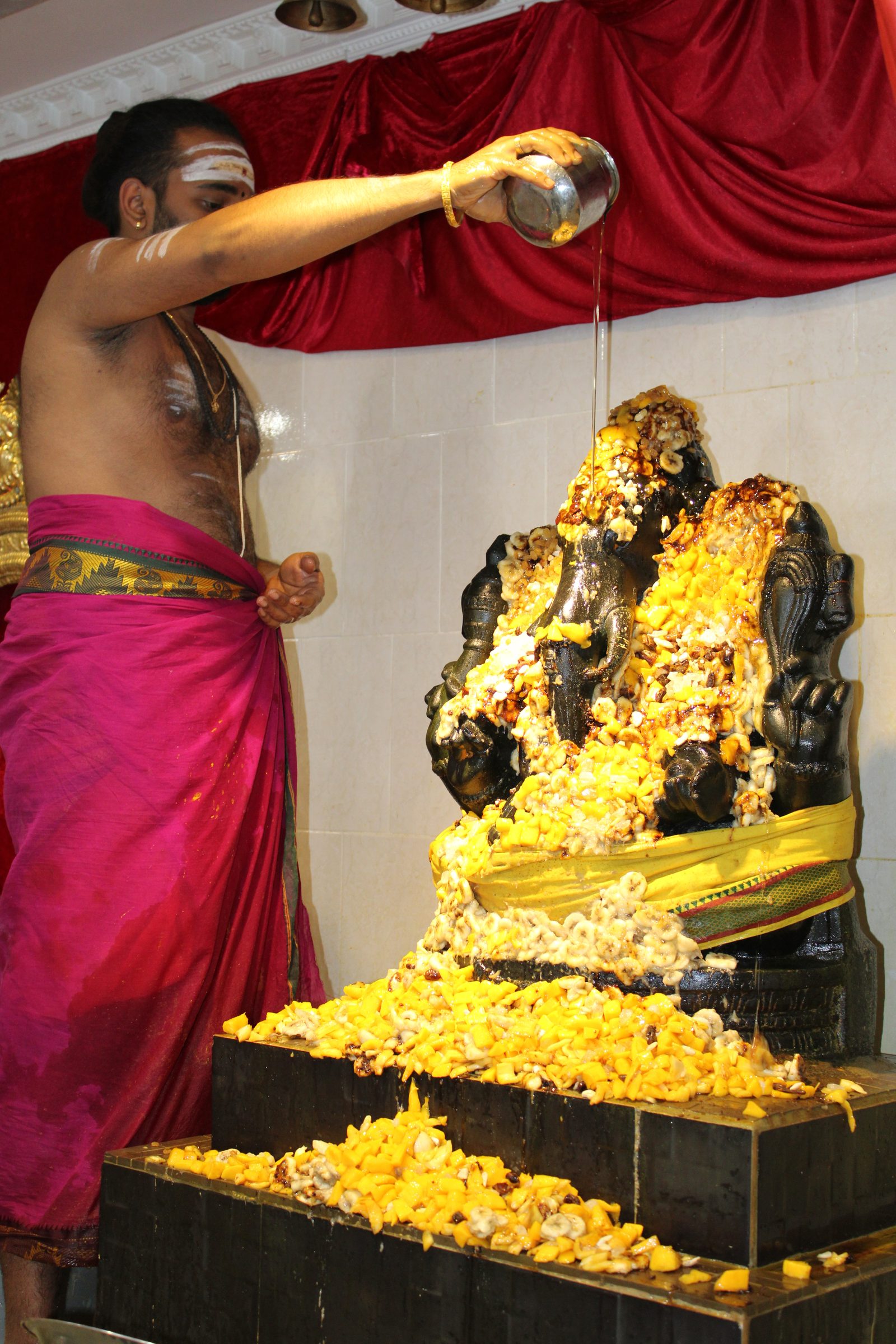 Festival 2024 photo