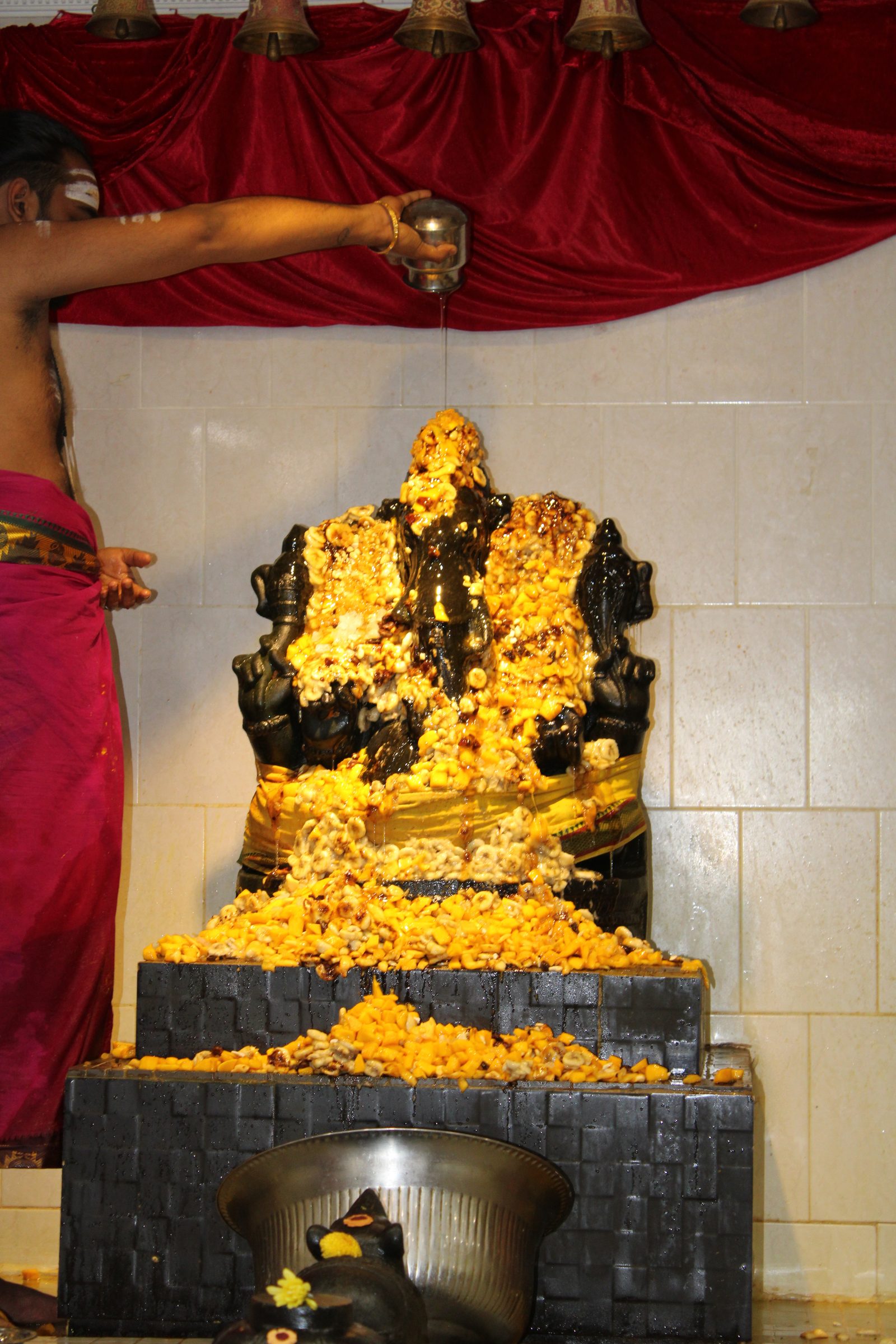 Festival 2024 photo
