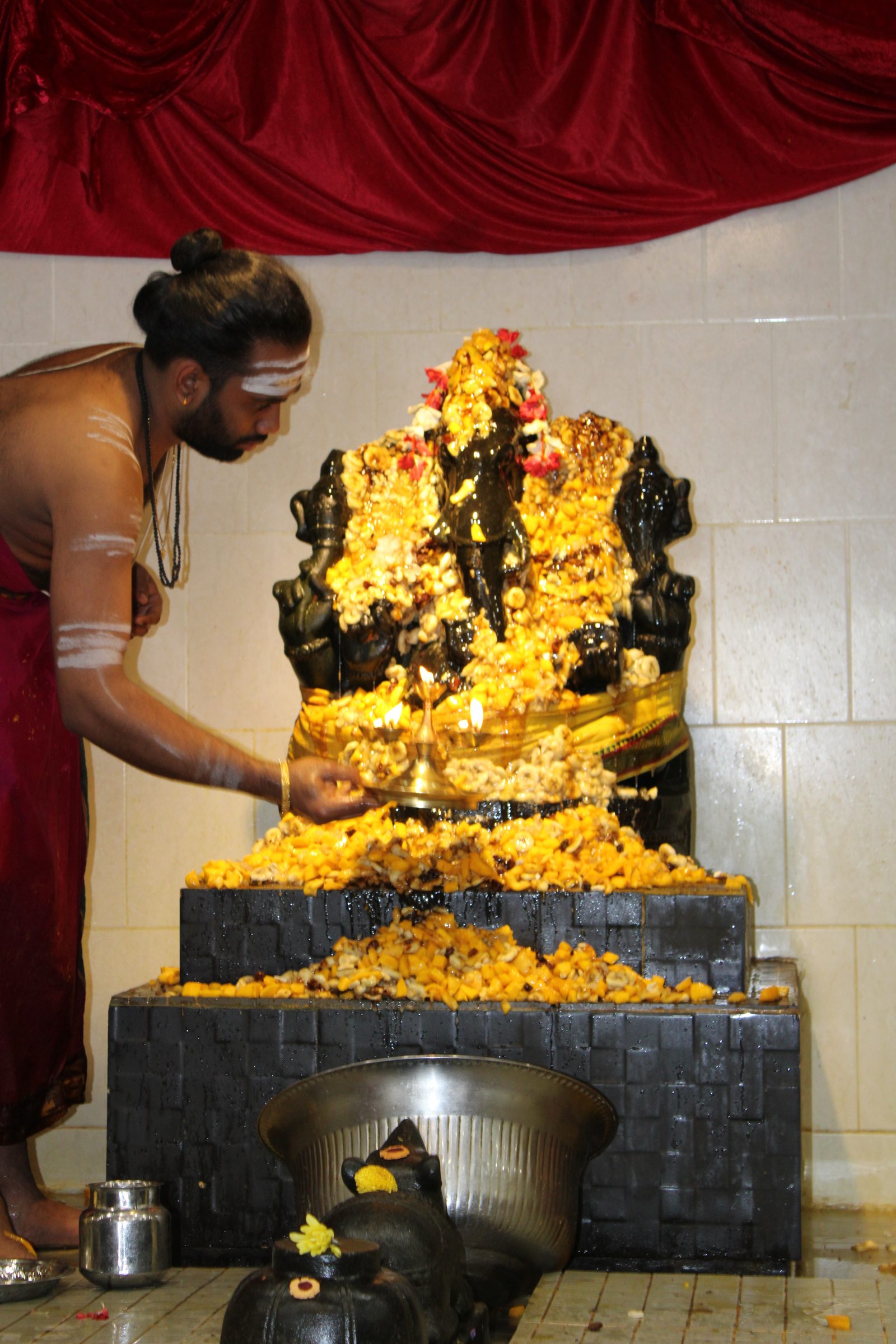 Festival 2024 photo