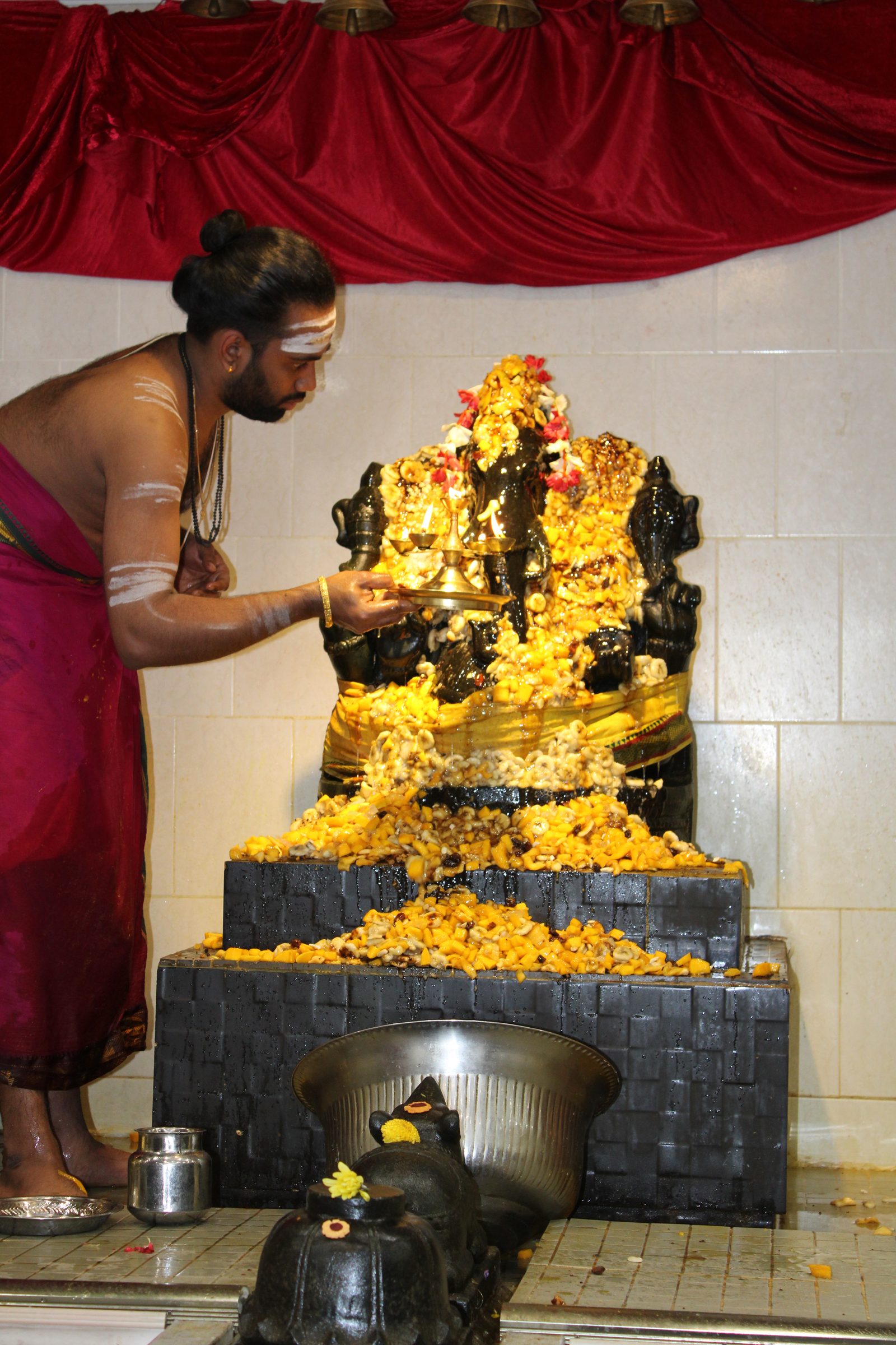 Festival 2024 photo