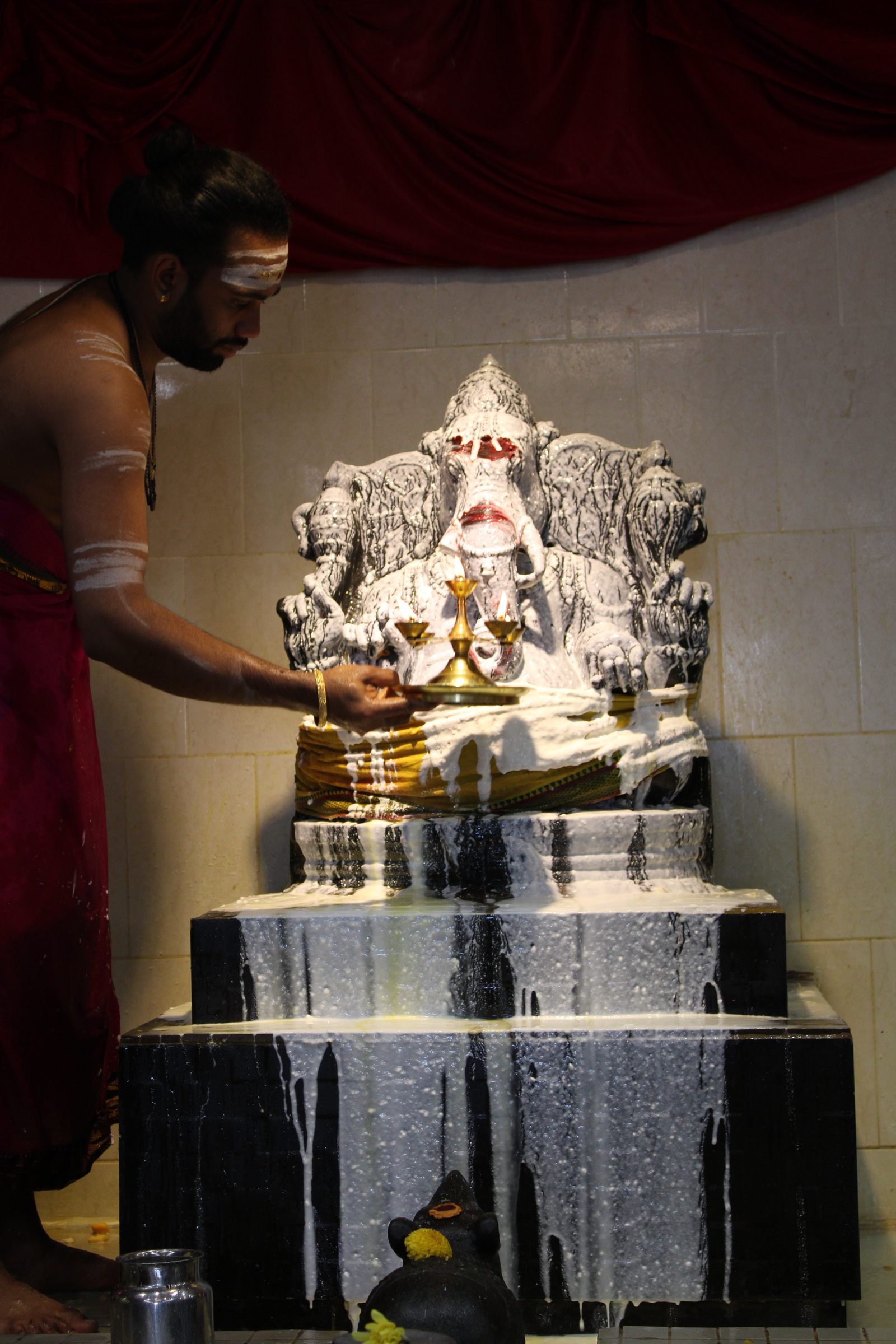 Festival 2024 photo