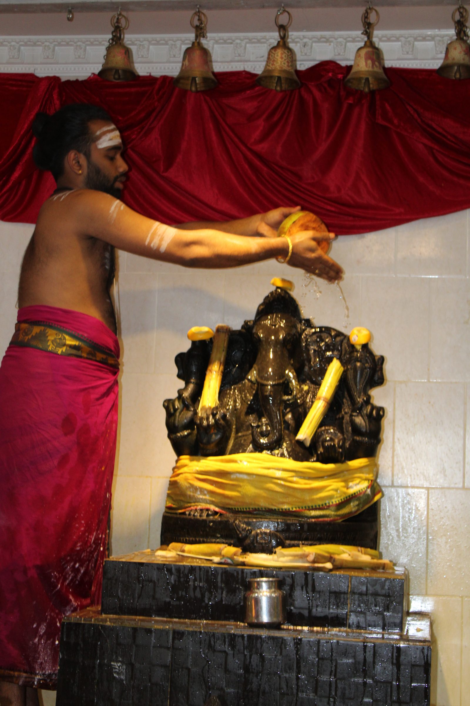 Festival 2024 photo