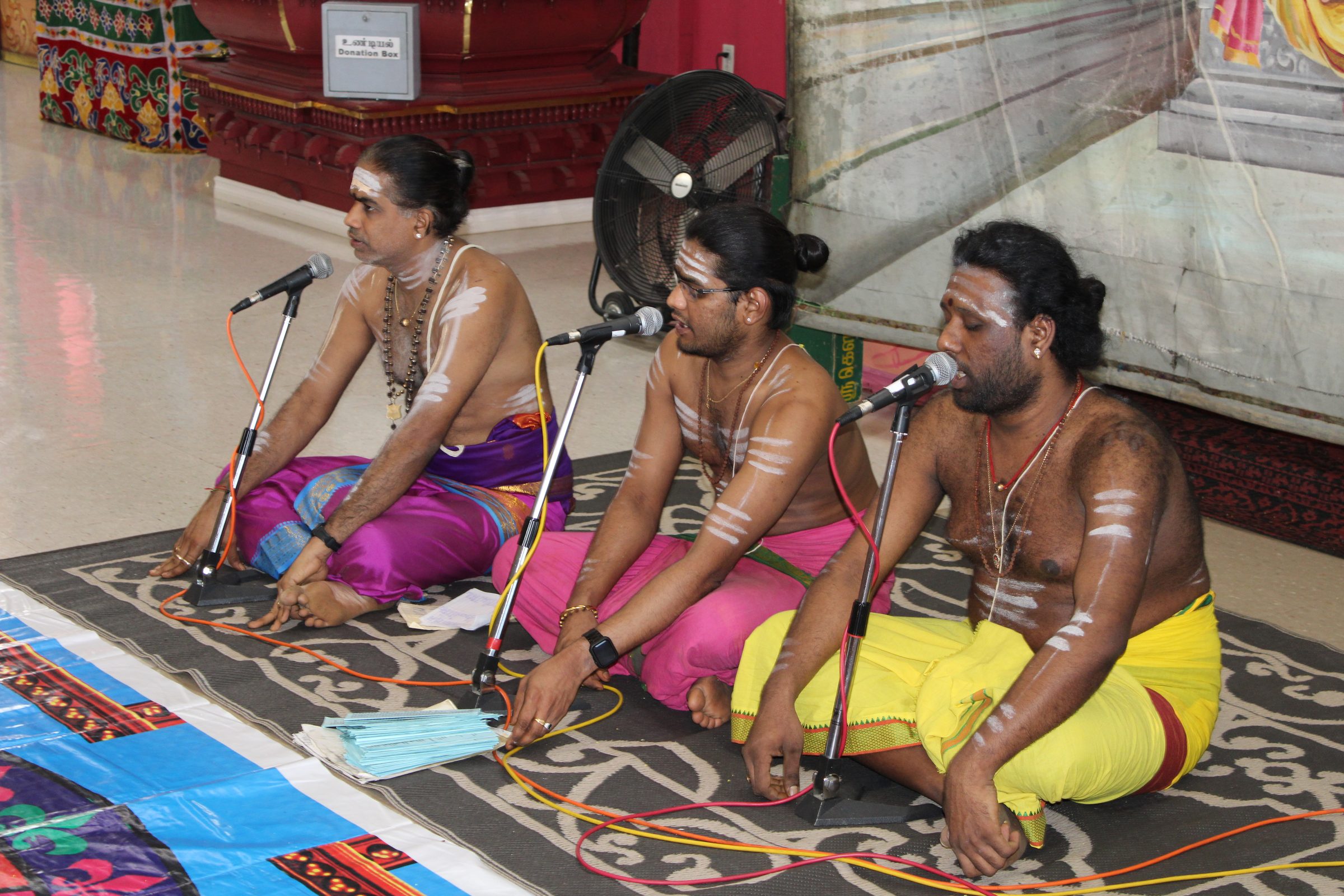 Festival 2024 photo