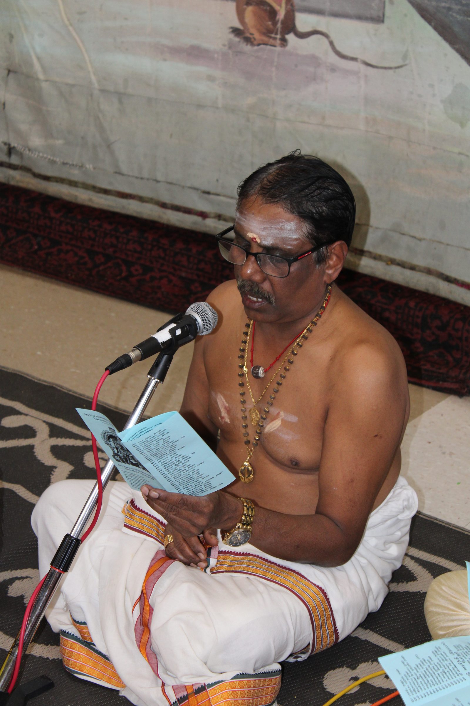 Festival 2024 photo
