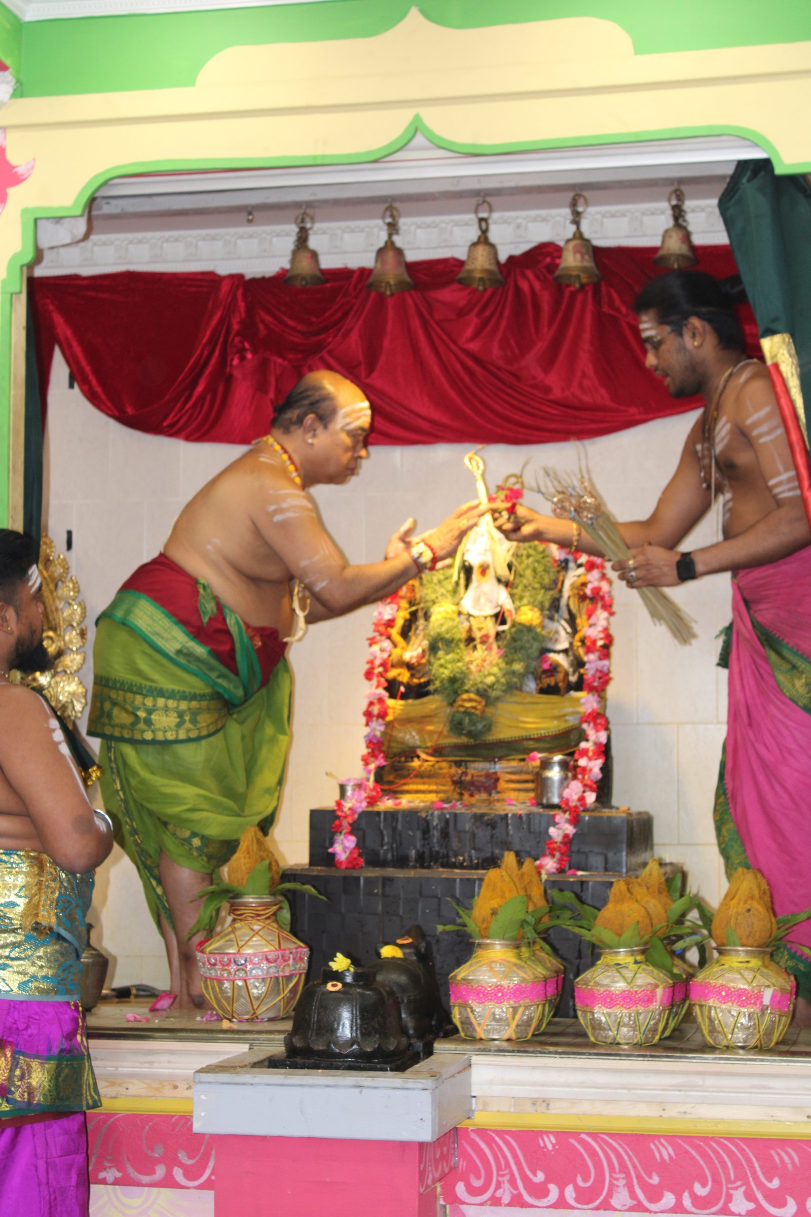 Festival 2024 photo