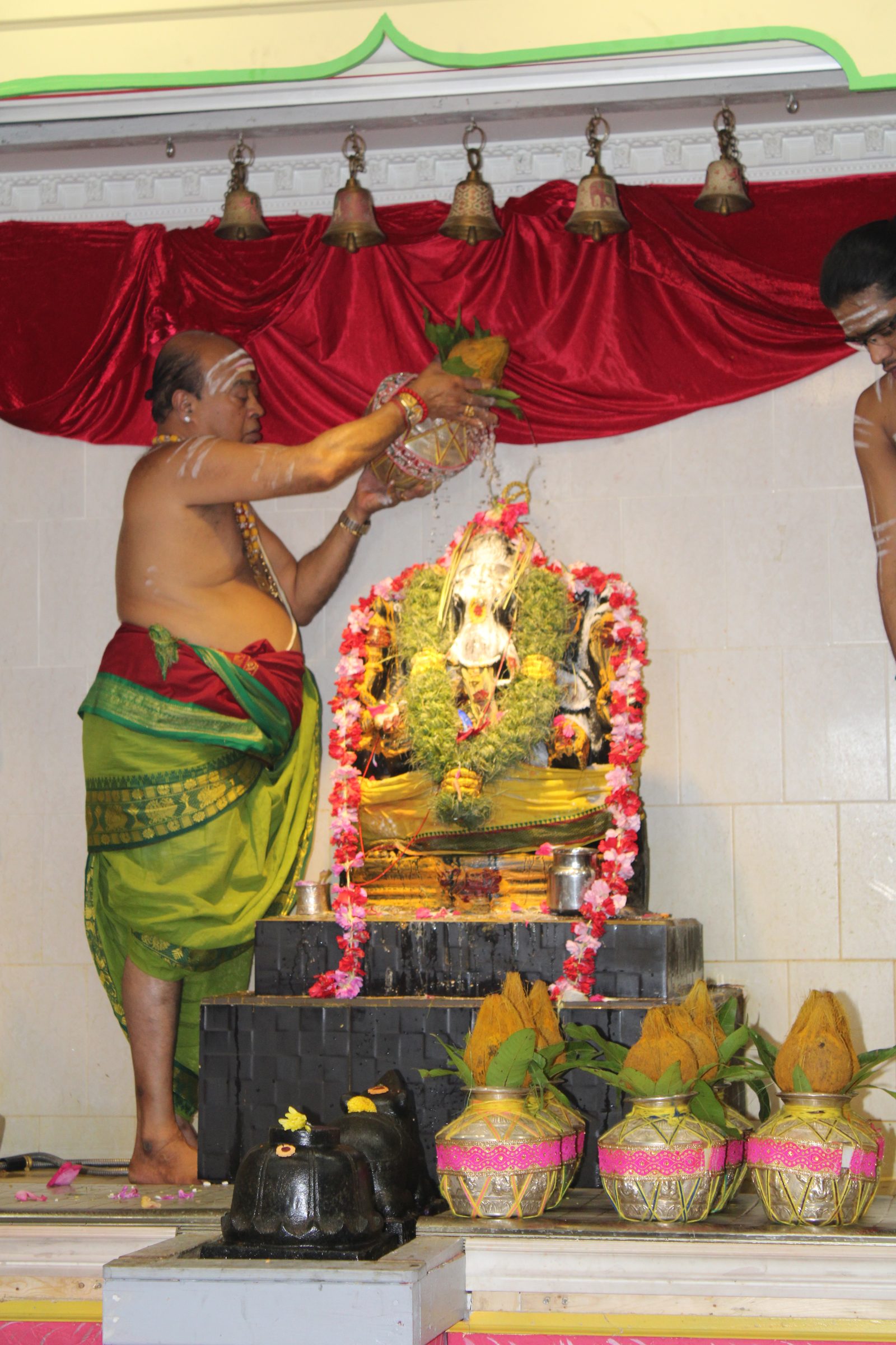 Festival 2024 photo