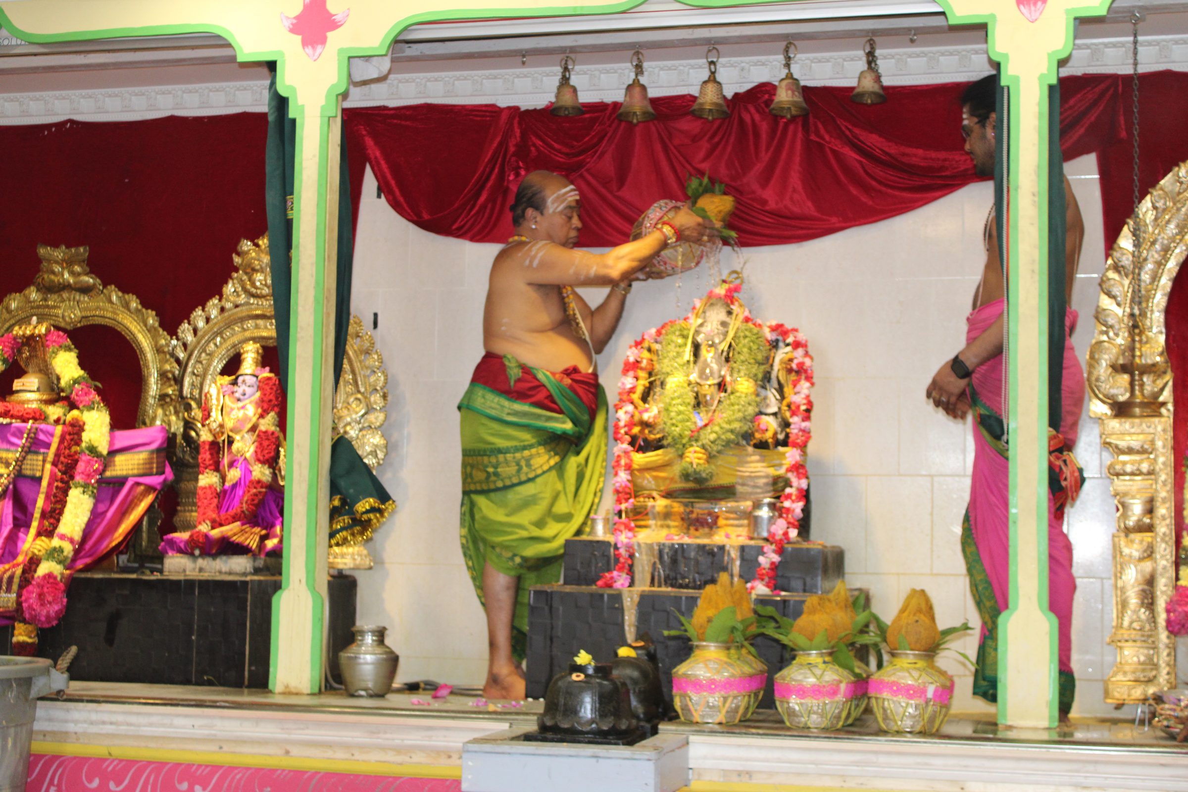 Festival 2024 photo