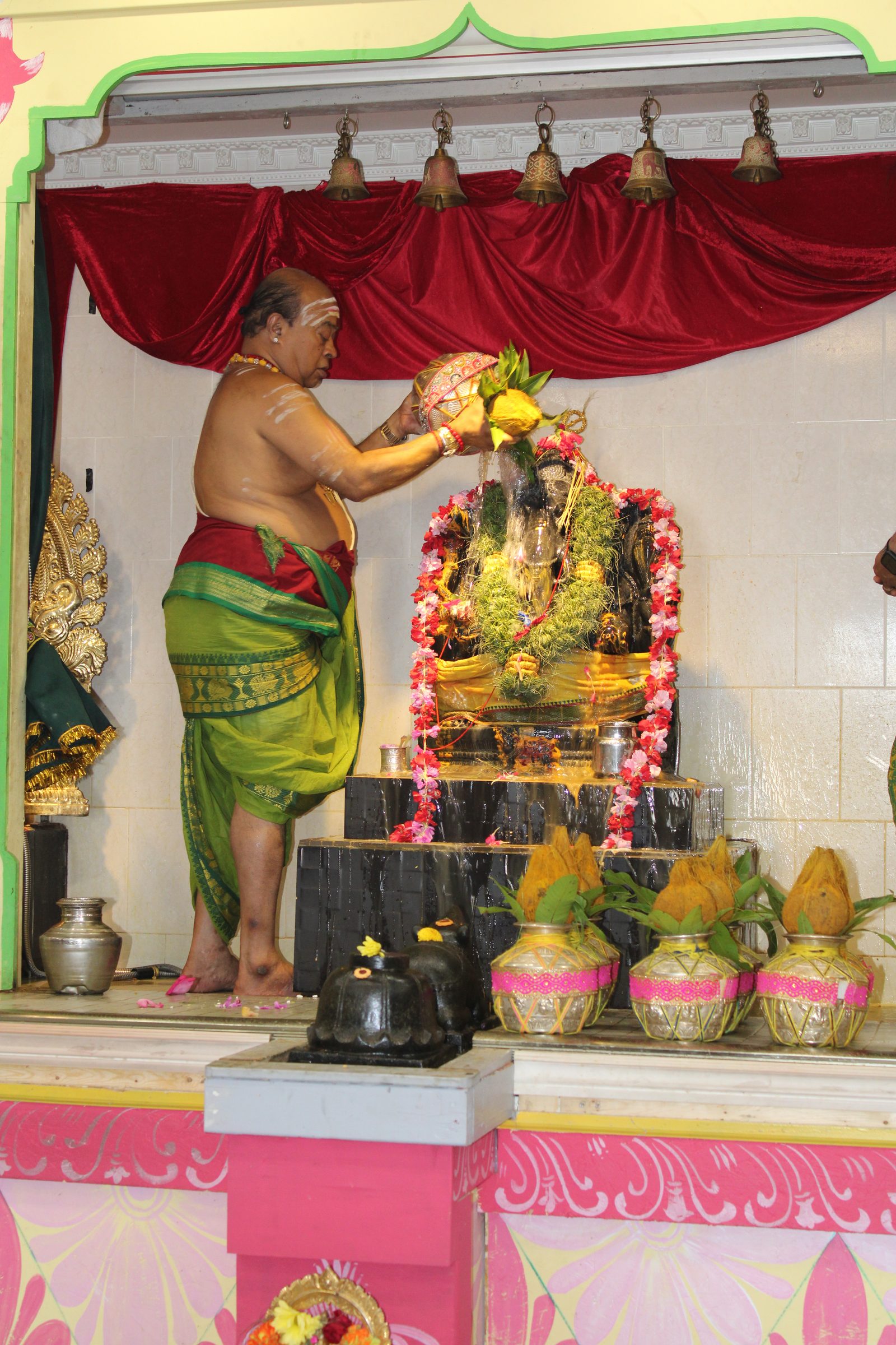 Festival 2024 photo