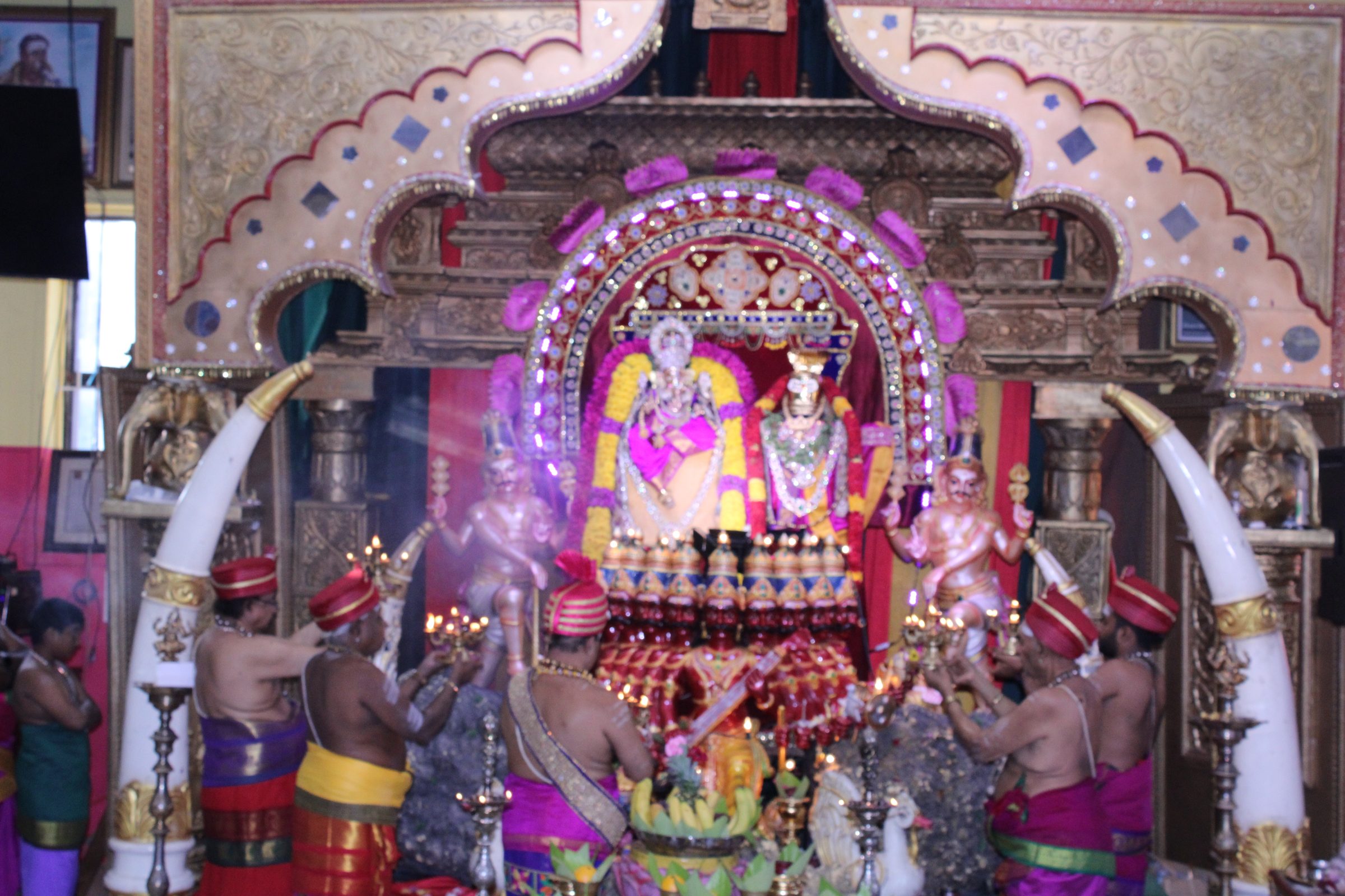 Festival 2024 photo