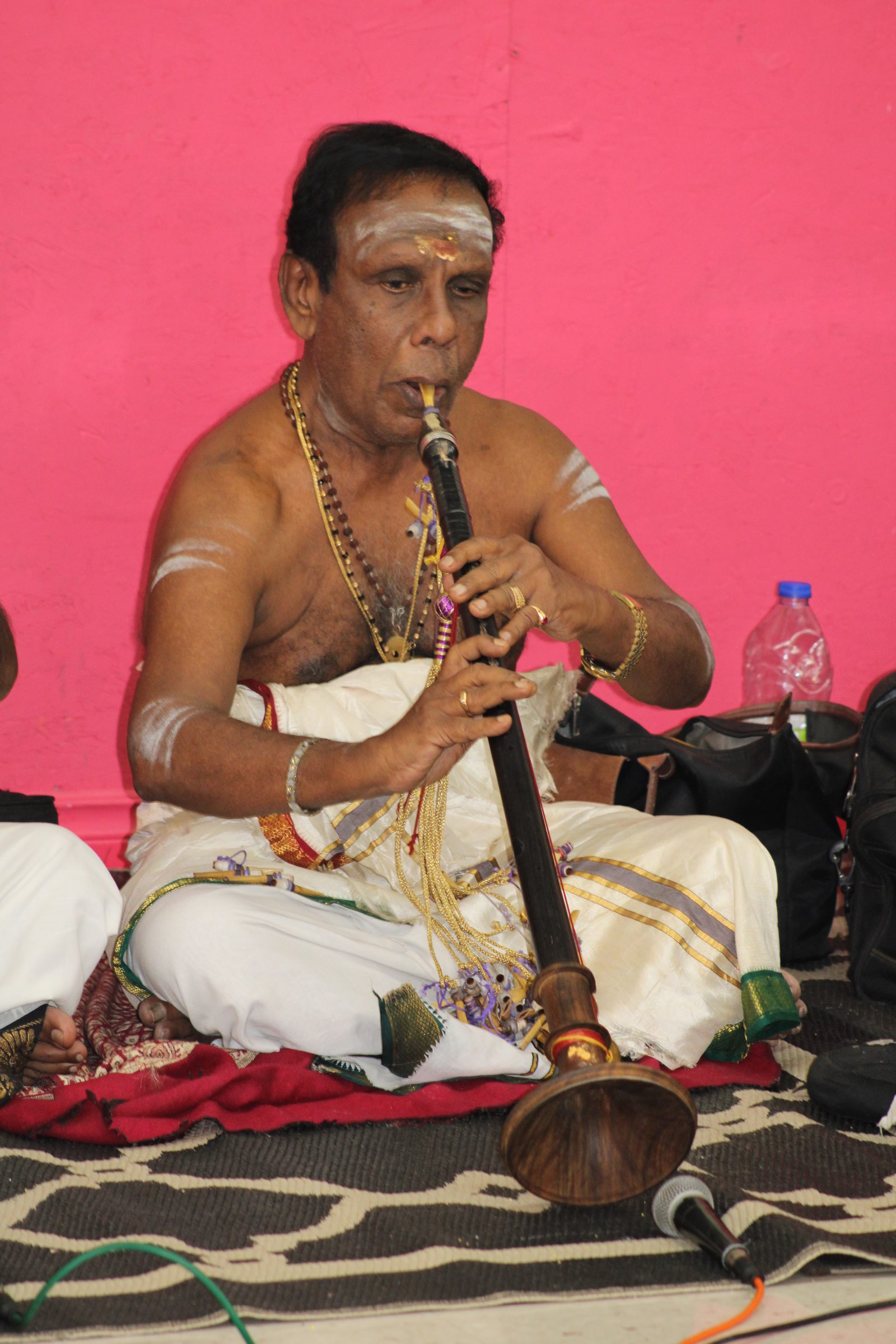 Festival 2024 photo