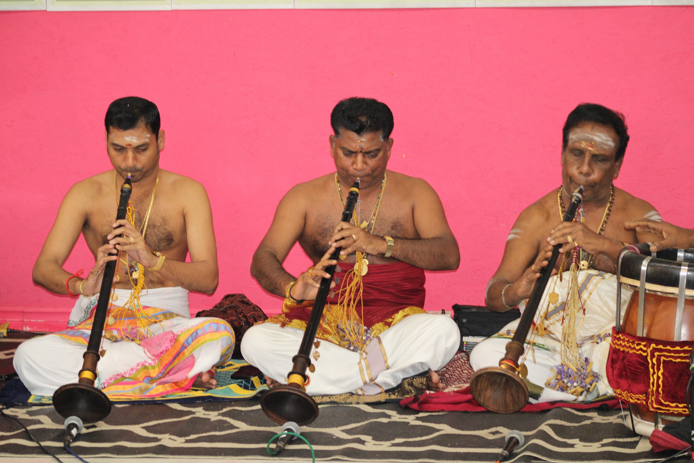 Festival 2024 photo