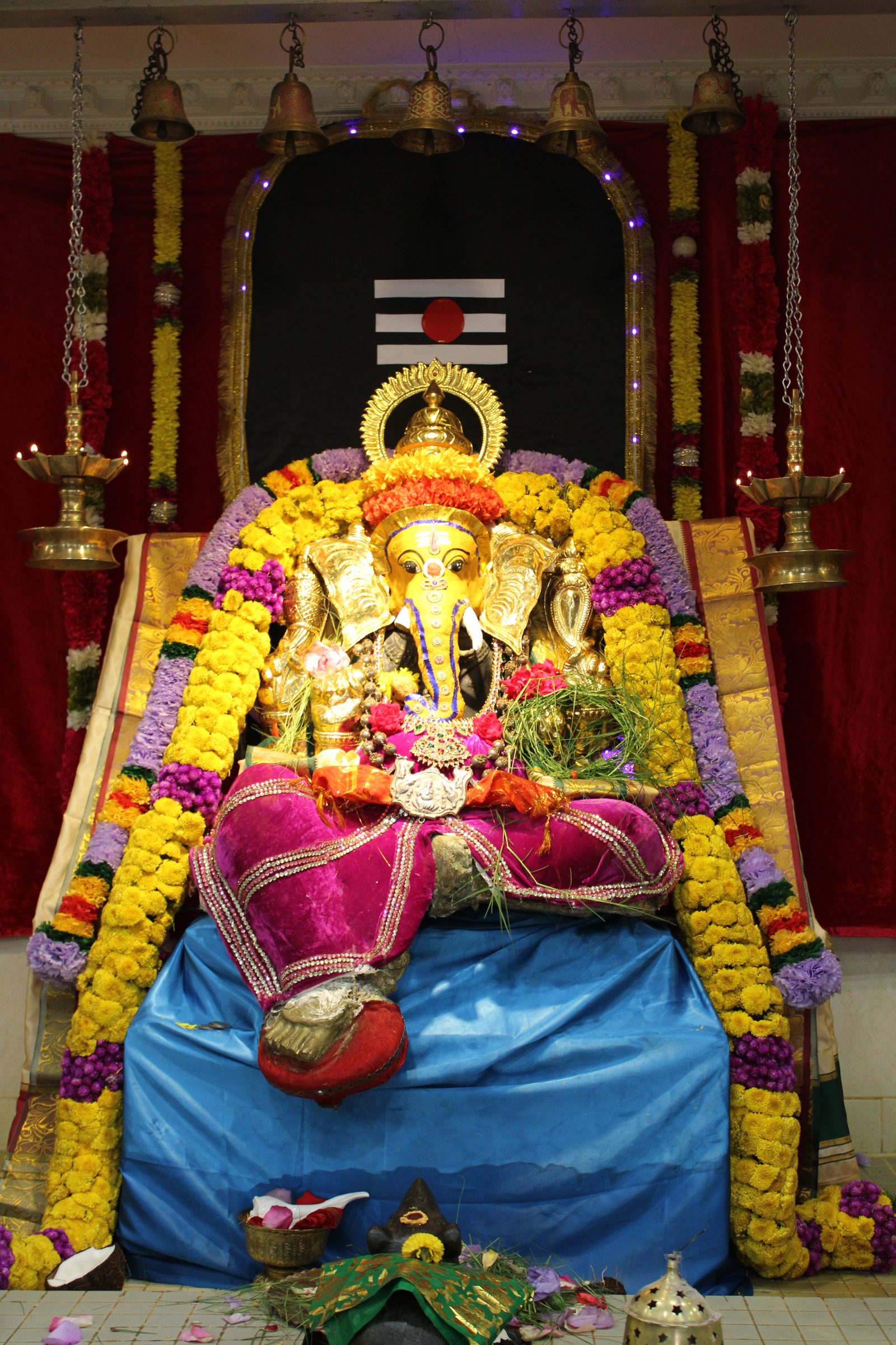 Festival 2024 photo