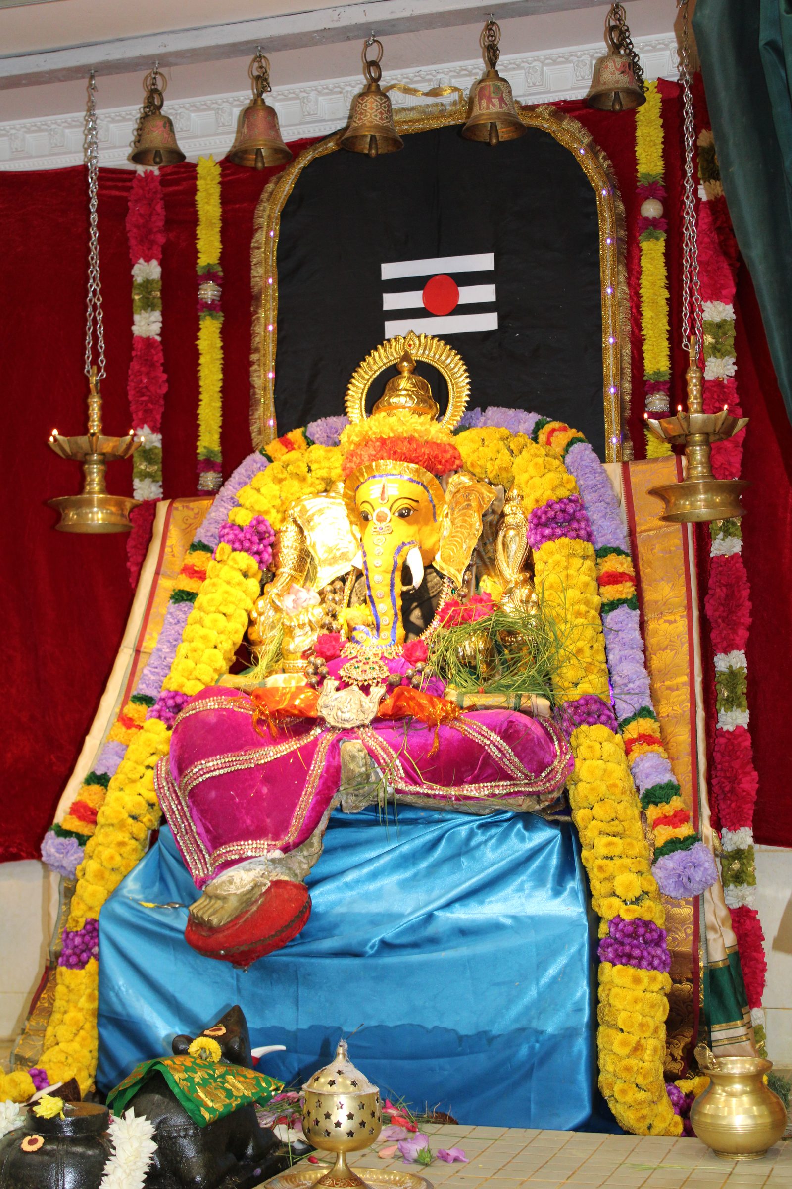 Festival 2024 photo