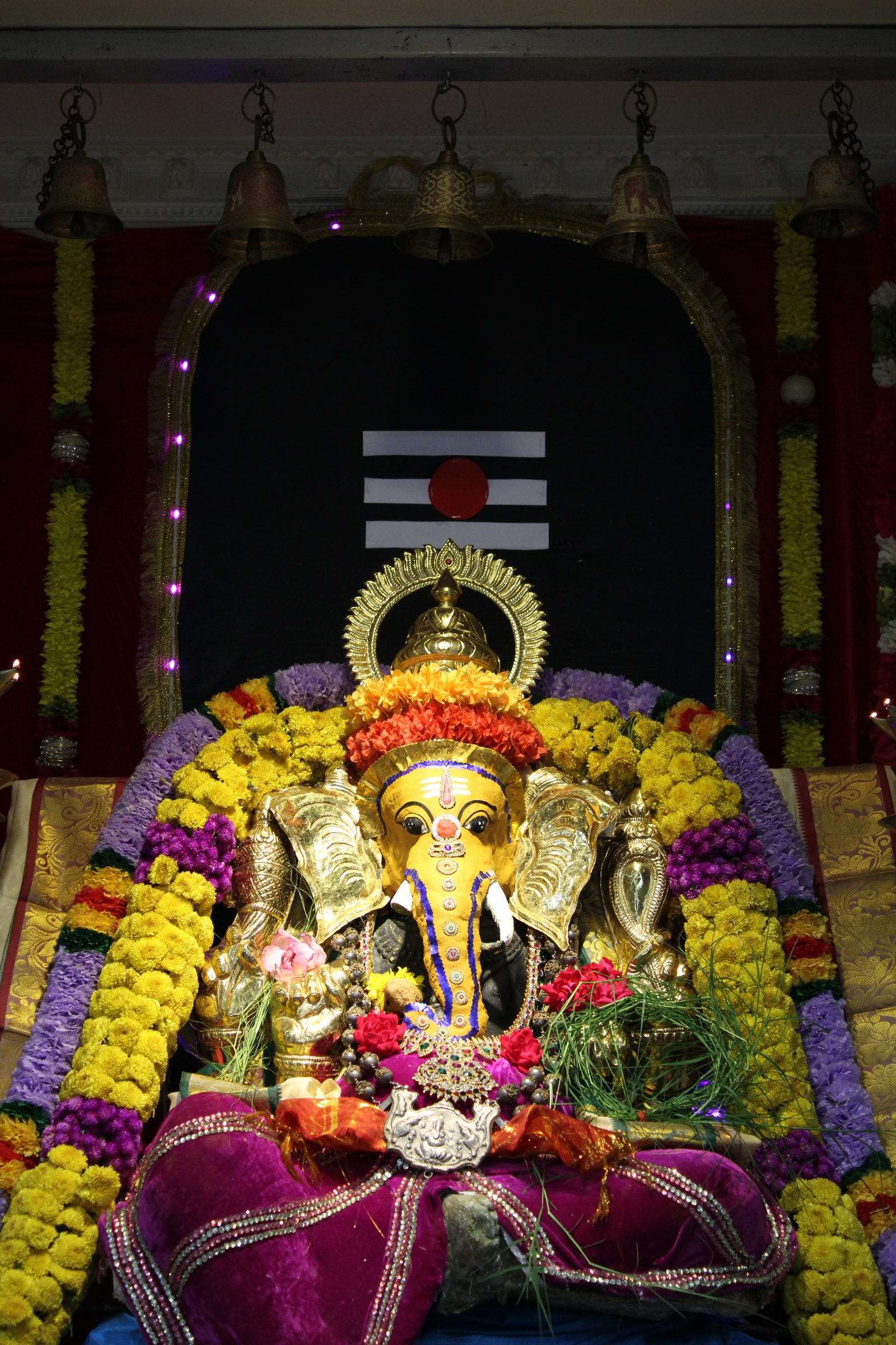 Festival 2024 photo
