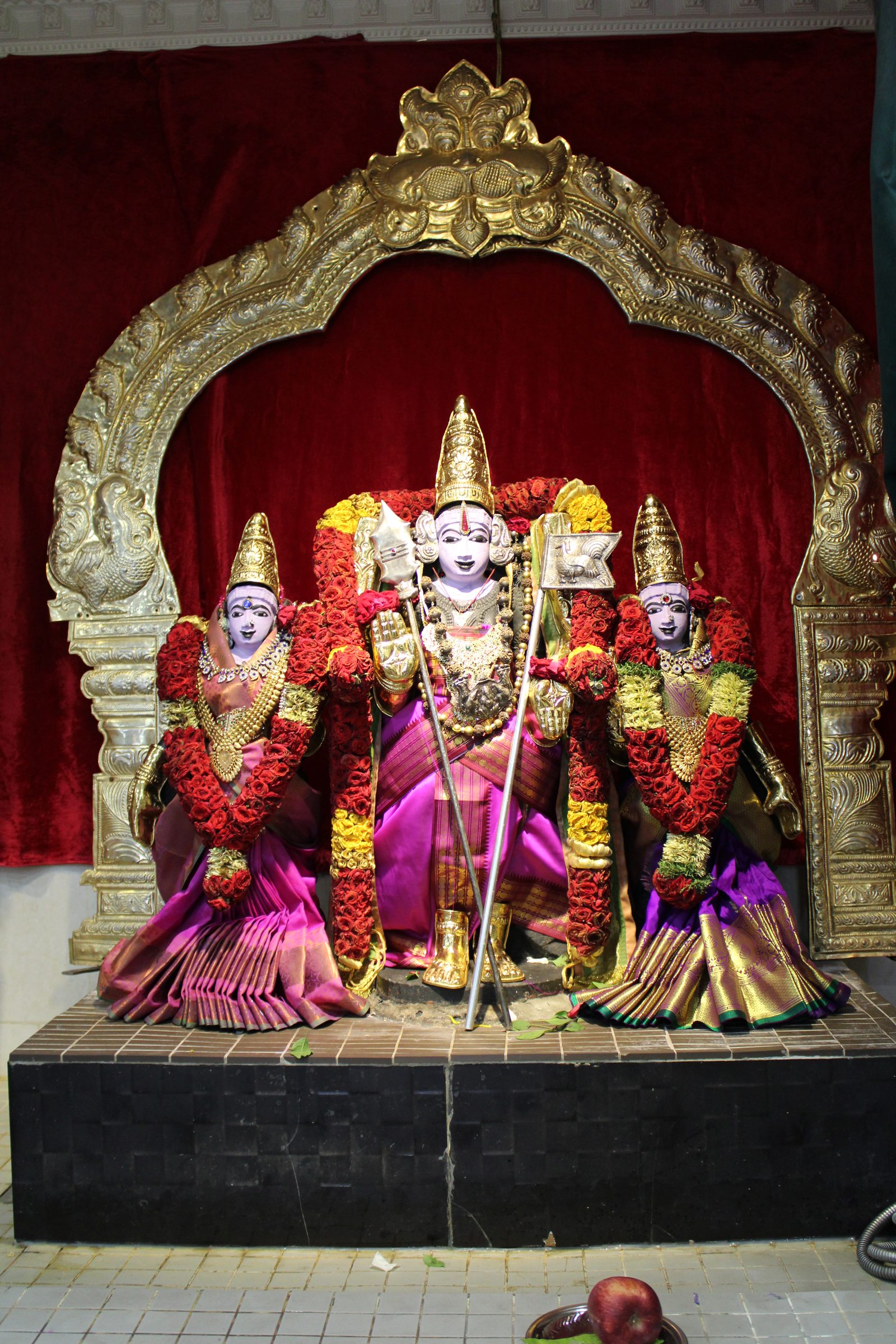 Festival 2024 photo