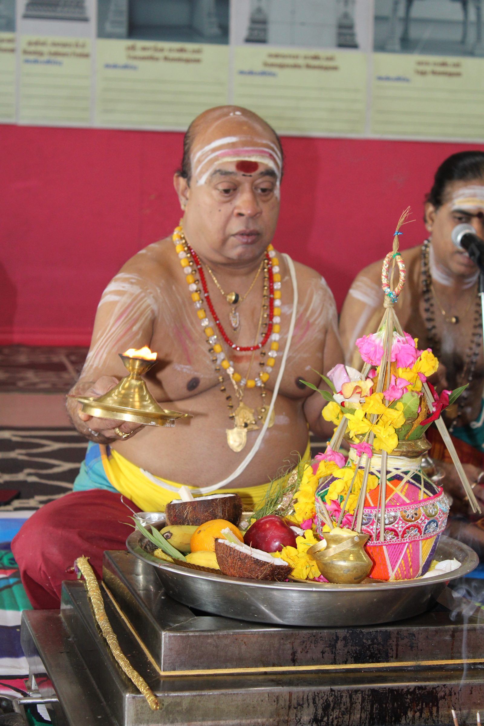 Festival 2024 photo